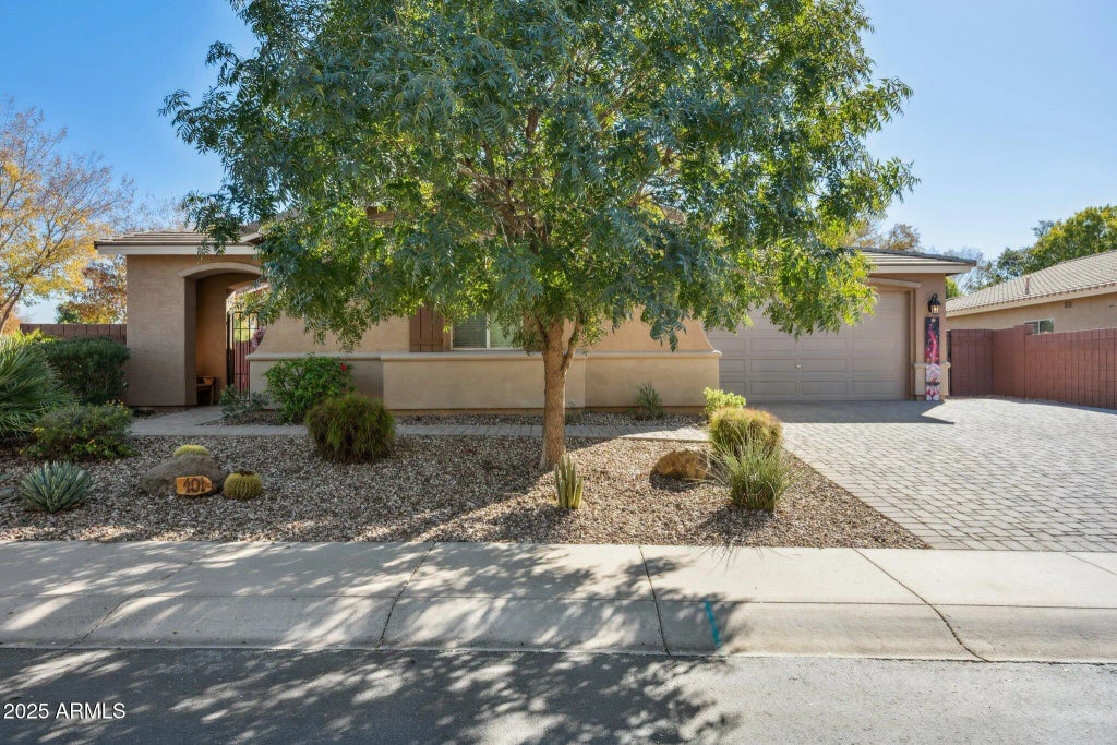 401 W Basswood Avenue, San Tan Valley
