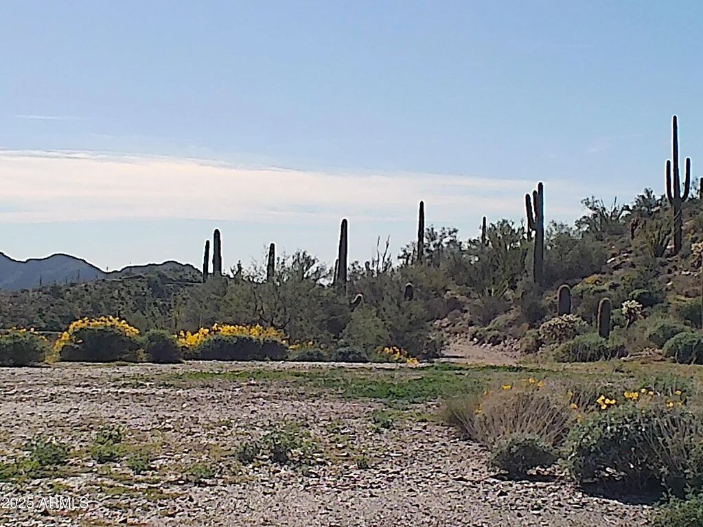 N Hardt Tank Road (unit '''_'''), Queen Valley