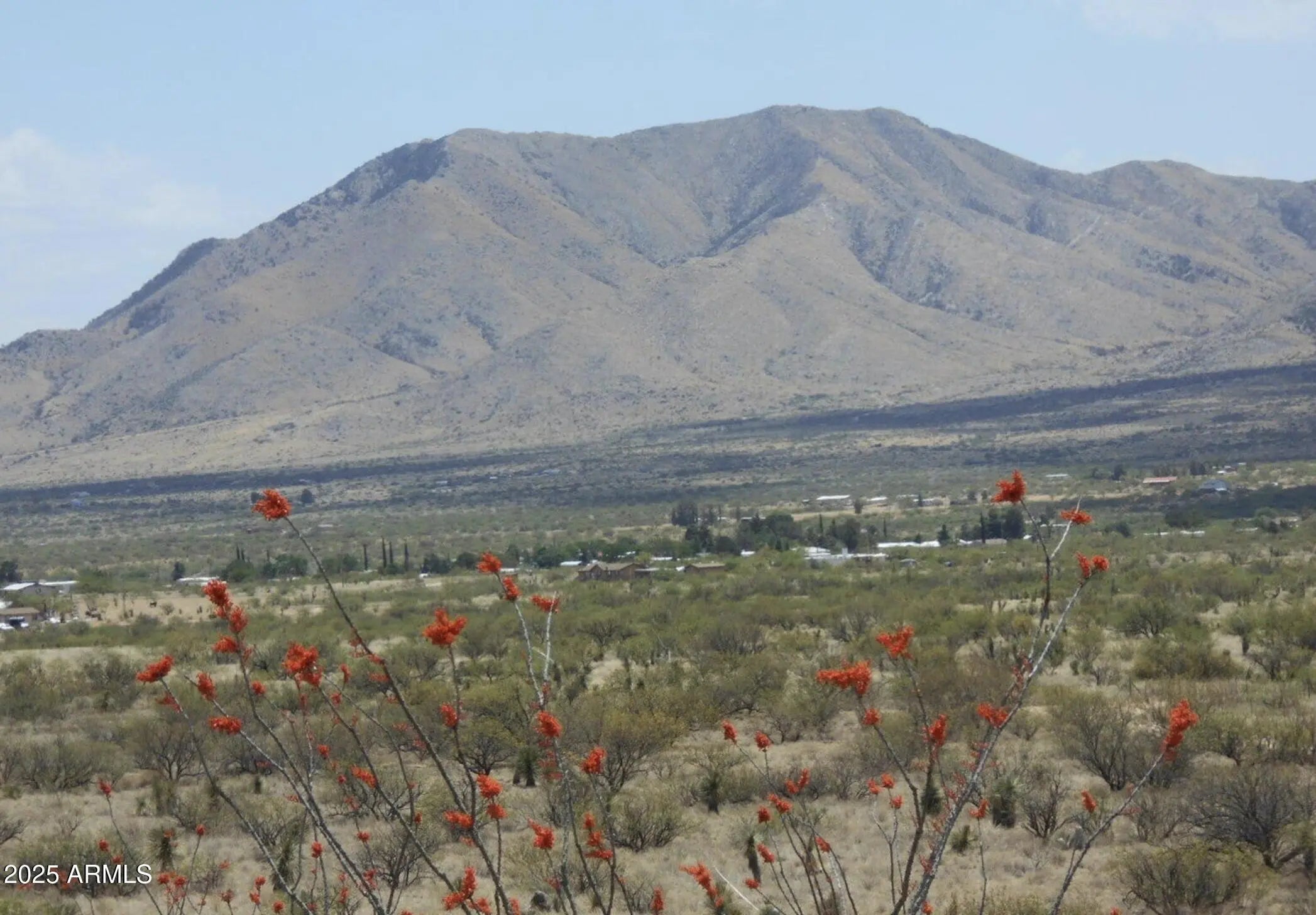 Photo of Listing #6960156