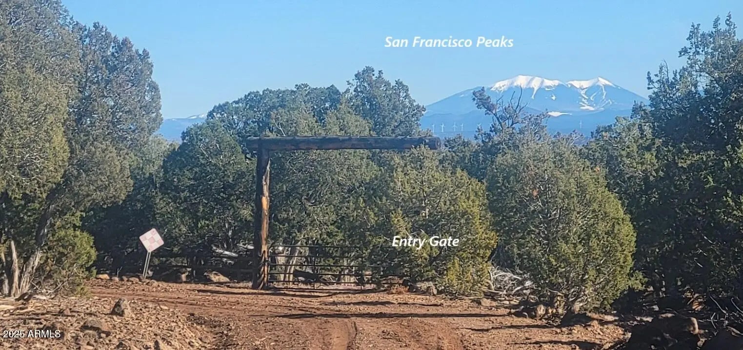 Photo of Listing #6960534