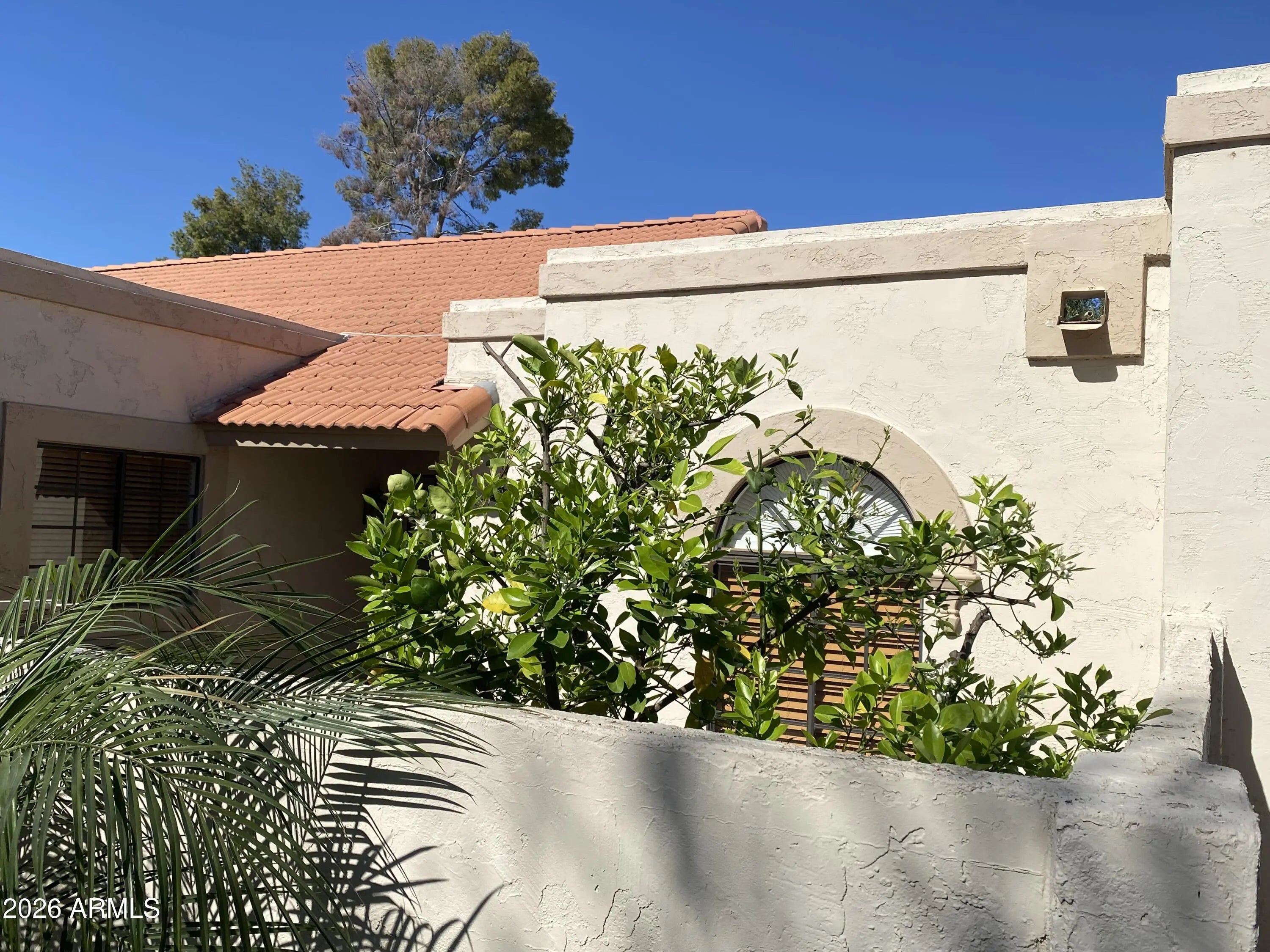 Photo of Listing #6960815