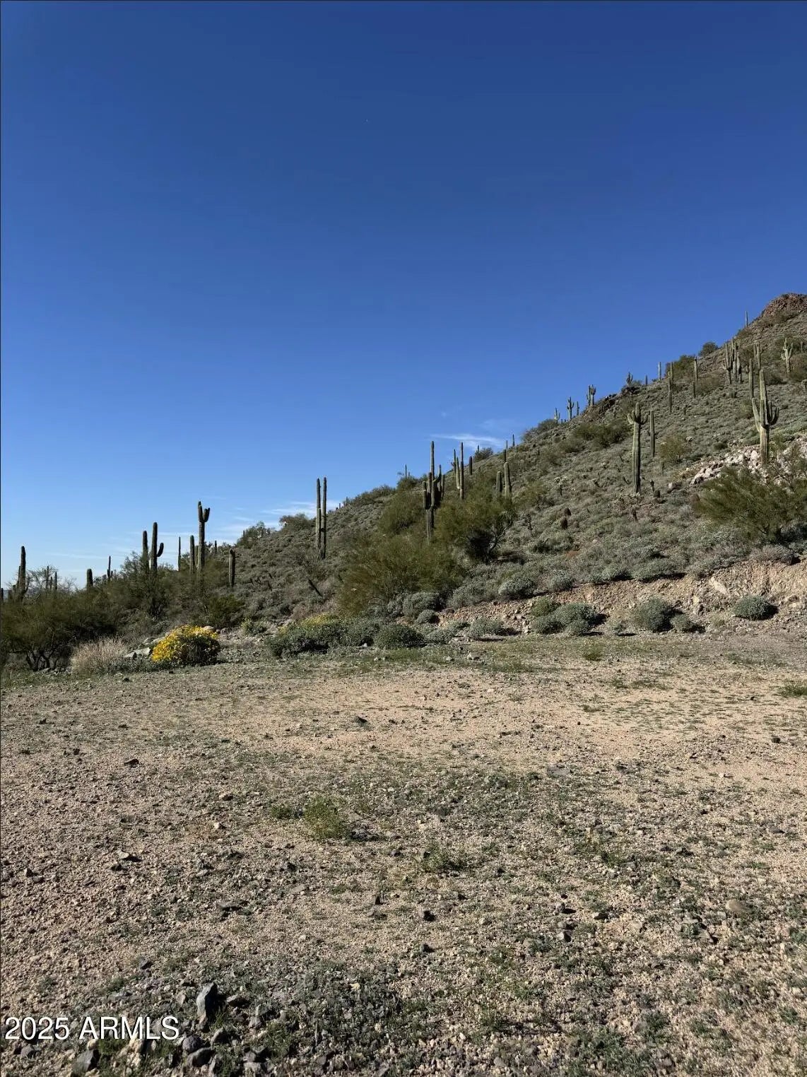 Photo of Listing #6960824