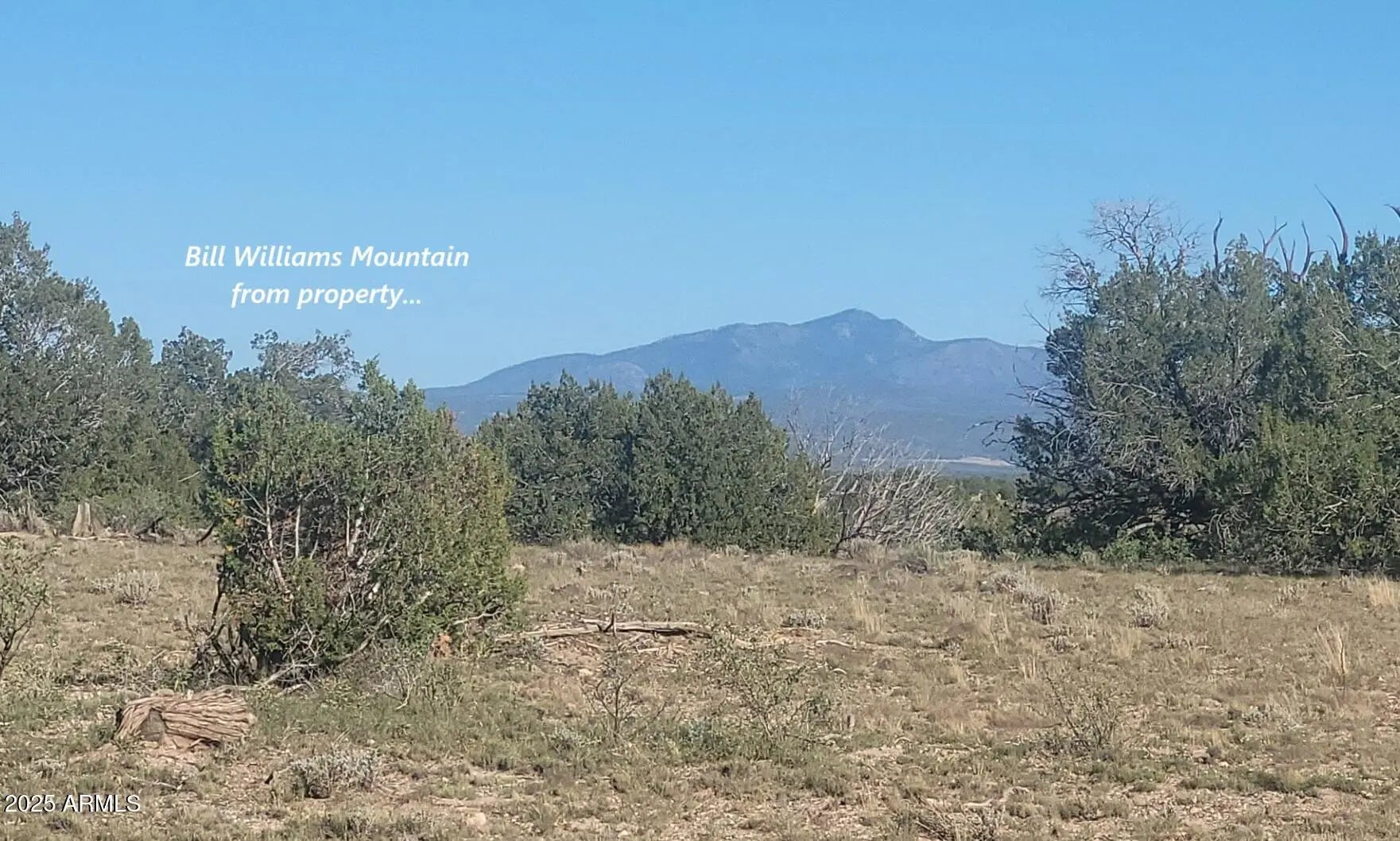 Photo of Listing #6962335