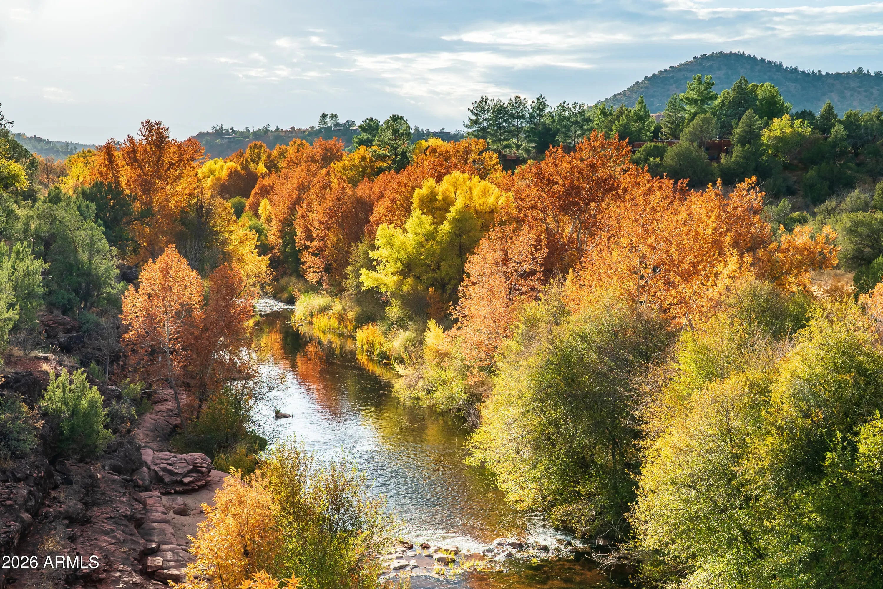 Photo of Listing #6969959