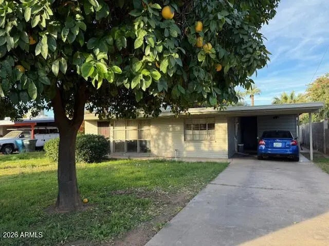 Photo of Listing #6976350