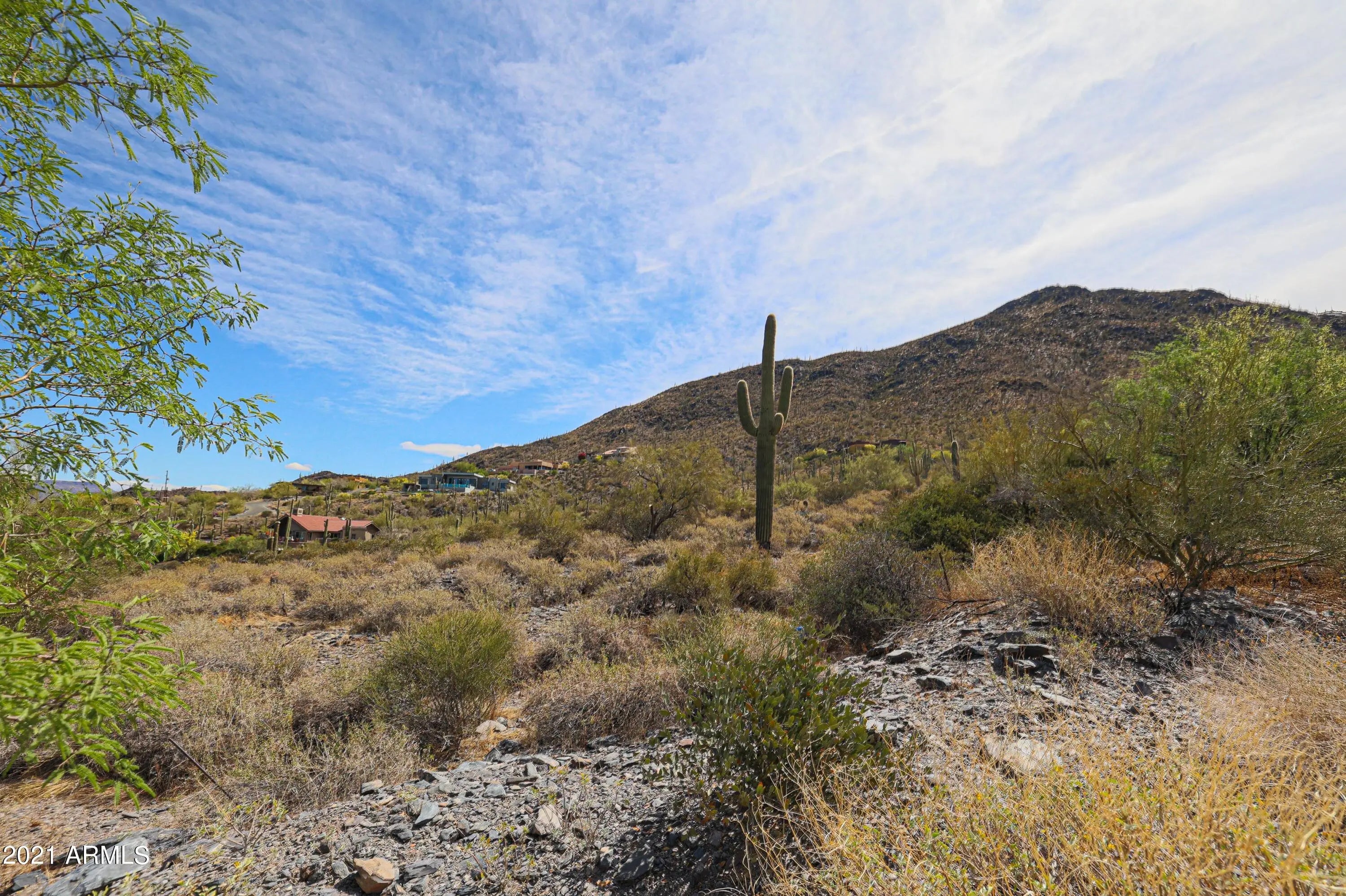 Photo of Listing #6967306