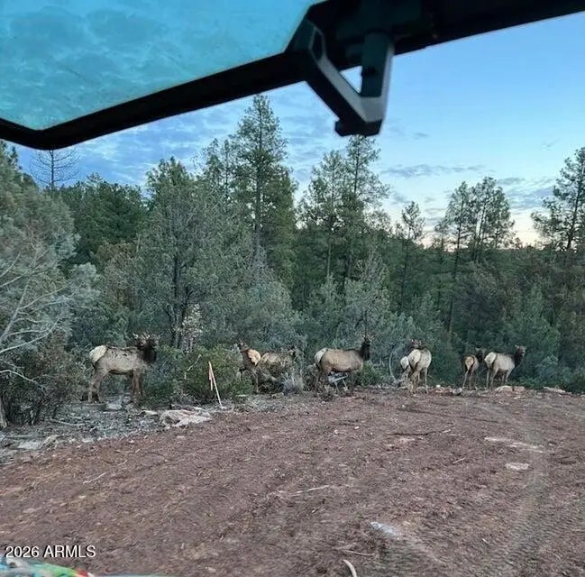 Photo of Listing #6968069