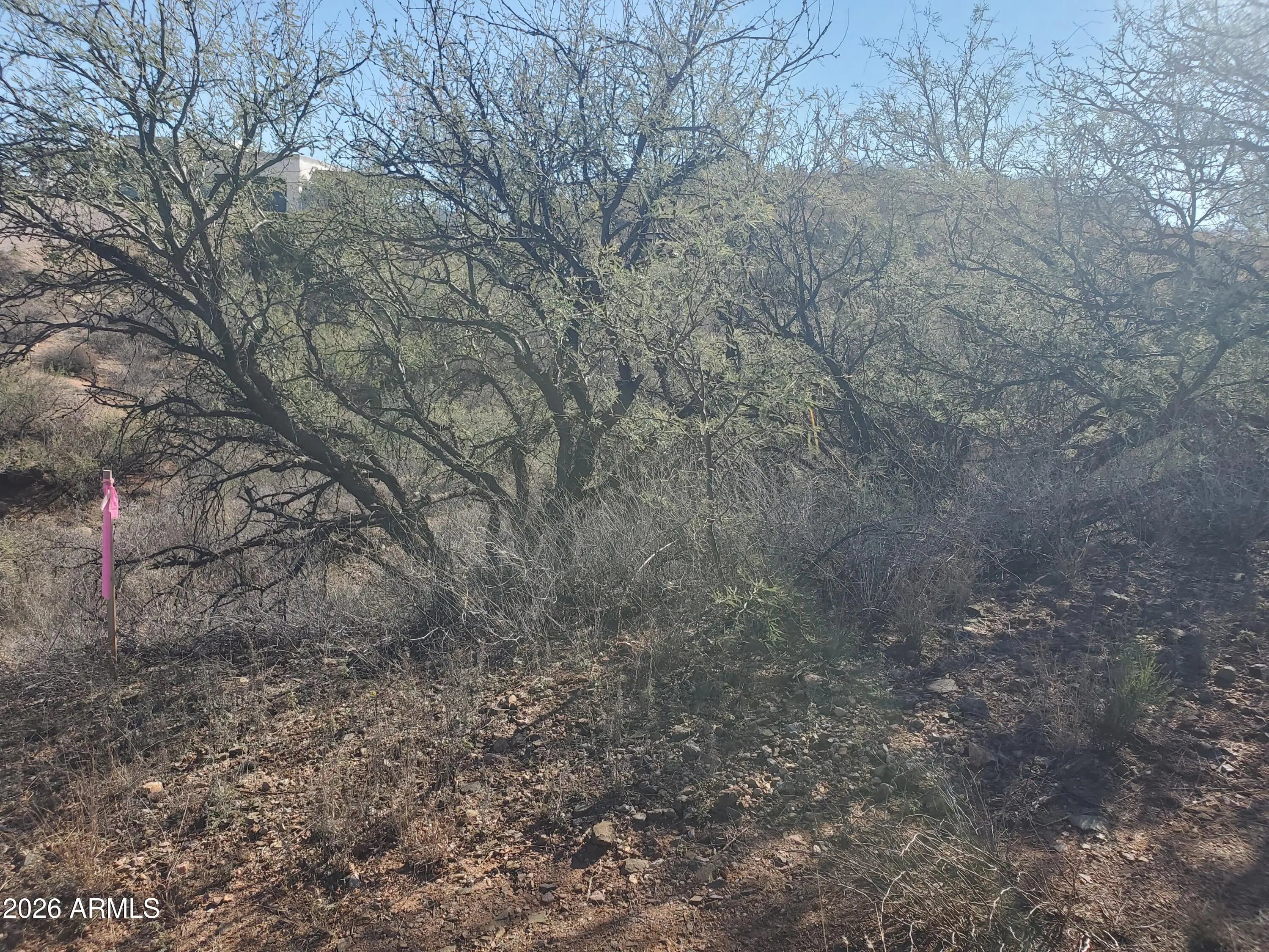 Photo of Listing #6968824