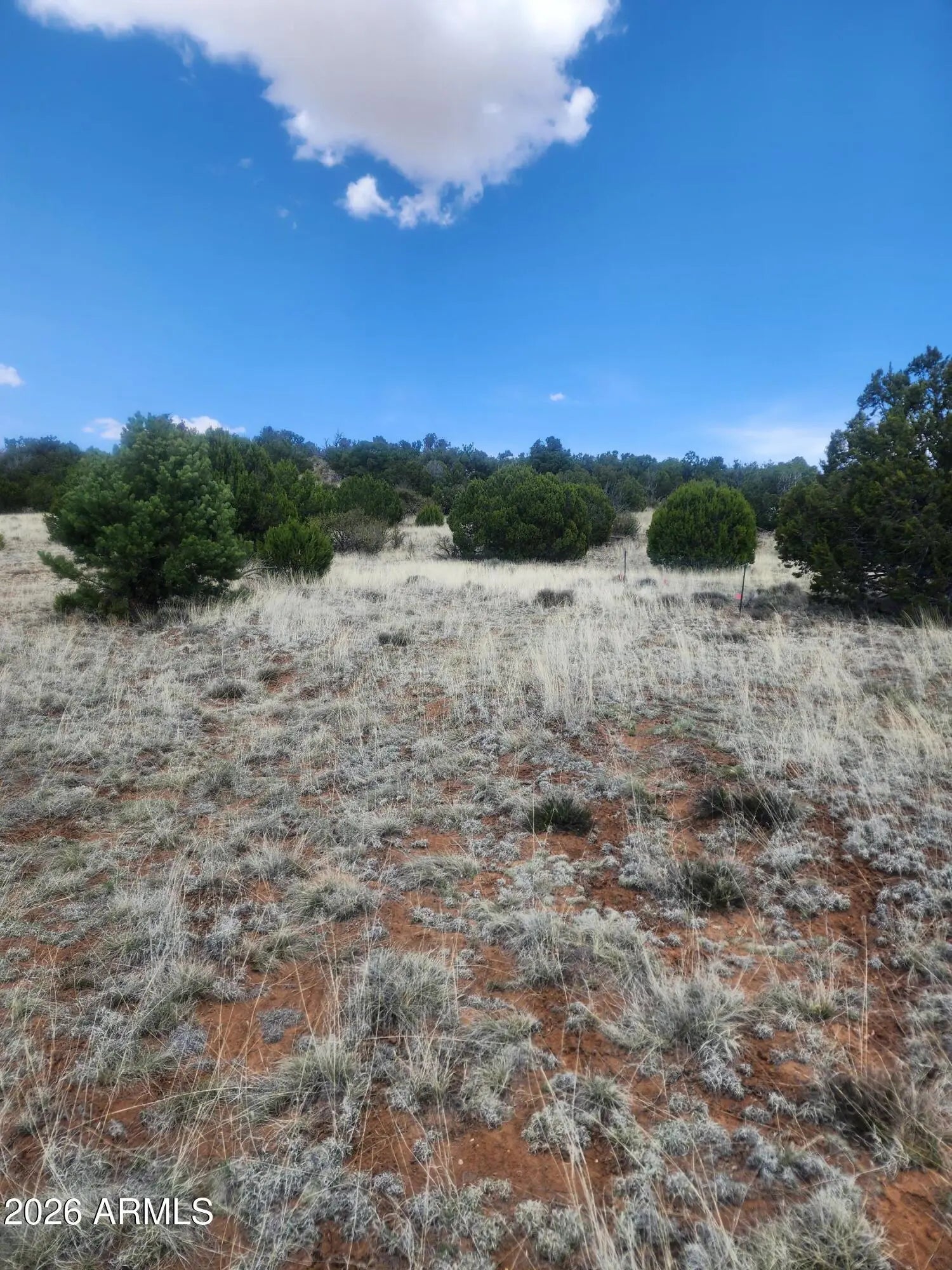 Photo of Listing #6970352