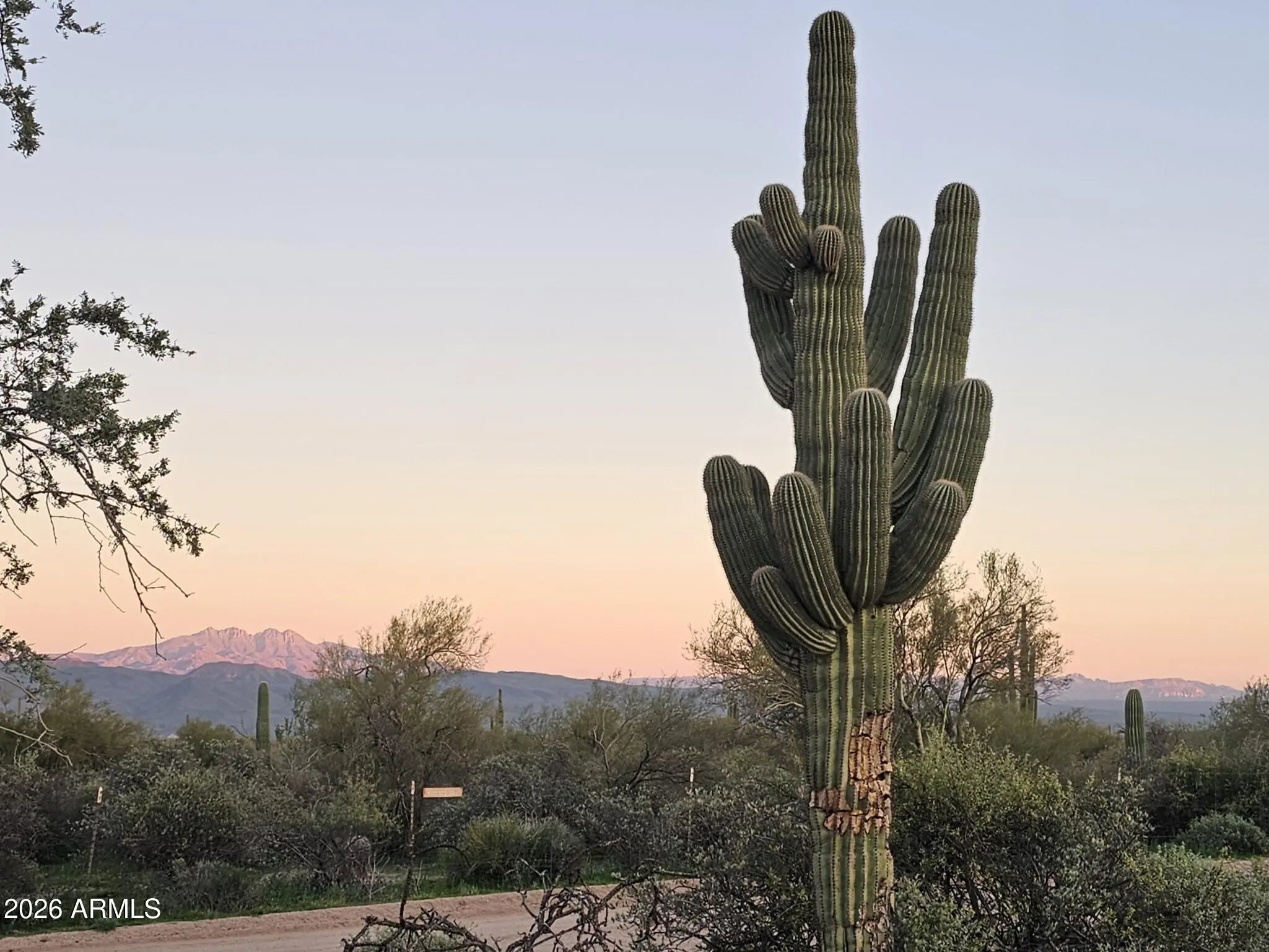 Photo of Listing #6972986