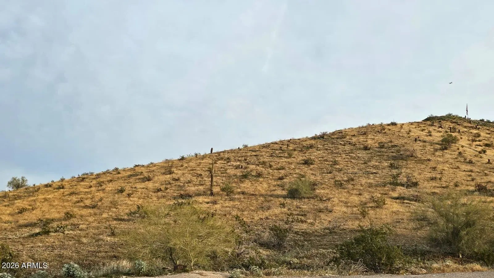 Photo of Listing #6972361