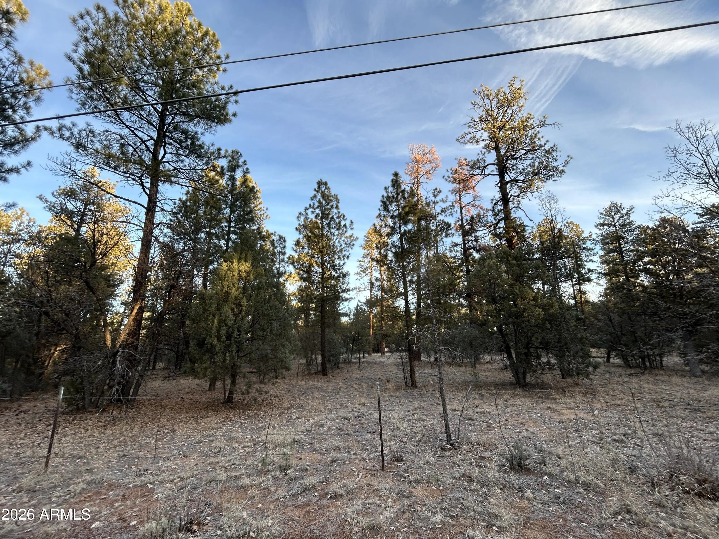 Photo of Listing #6972887