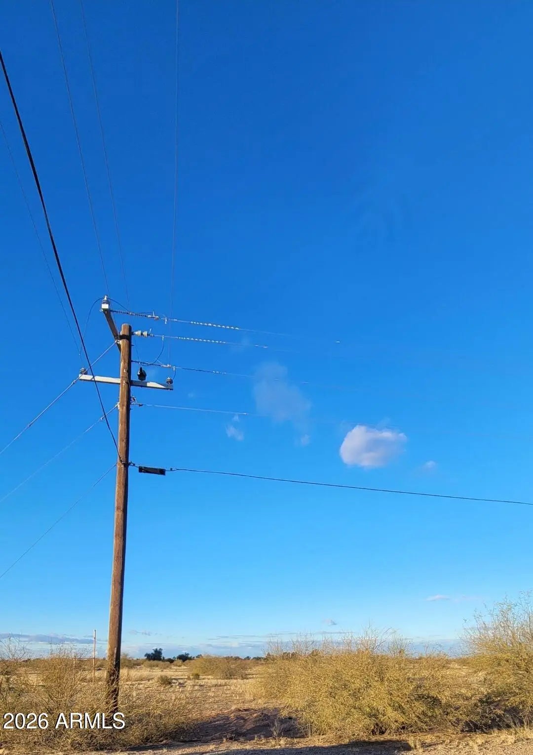 Photo of Listing #6975015