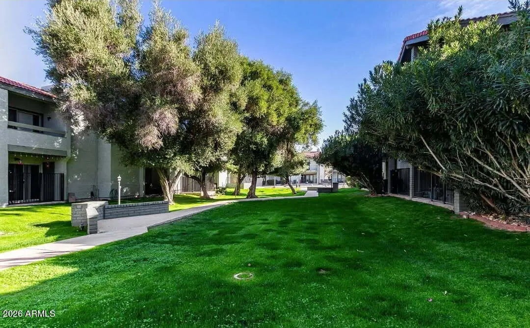 Photo of Listing #6977699