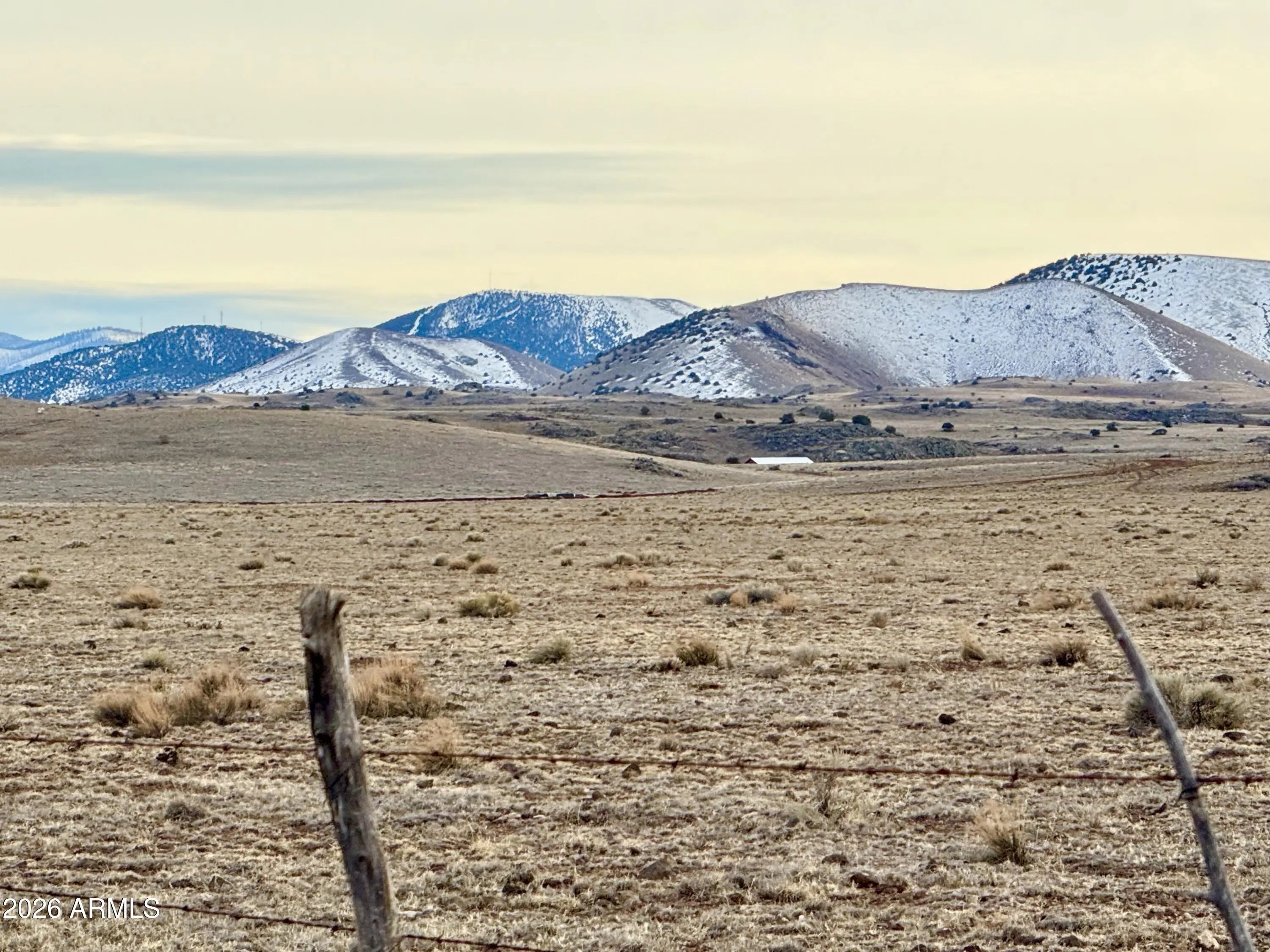 Photo of Listing #6981497