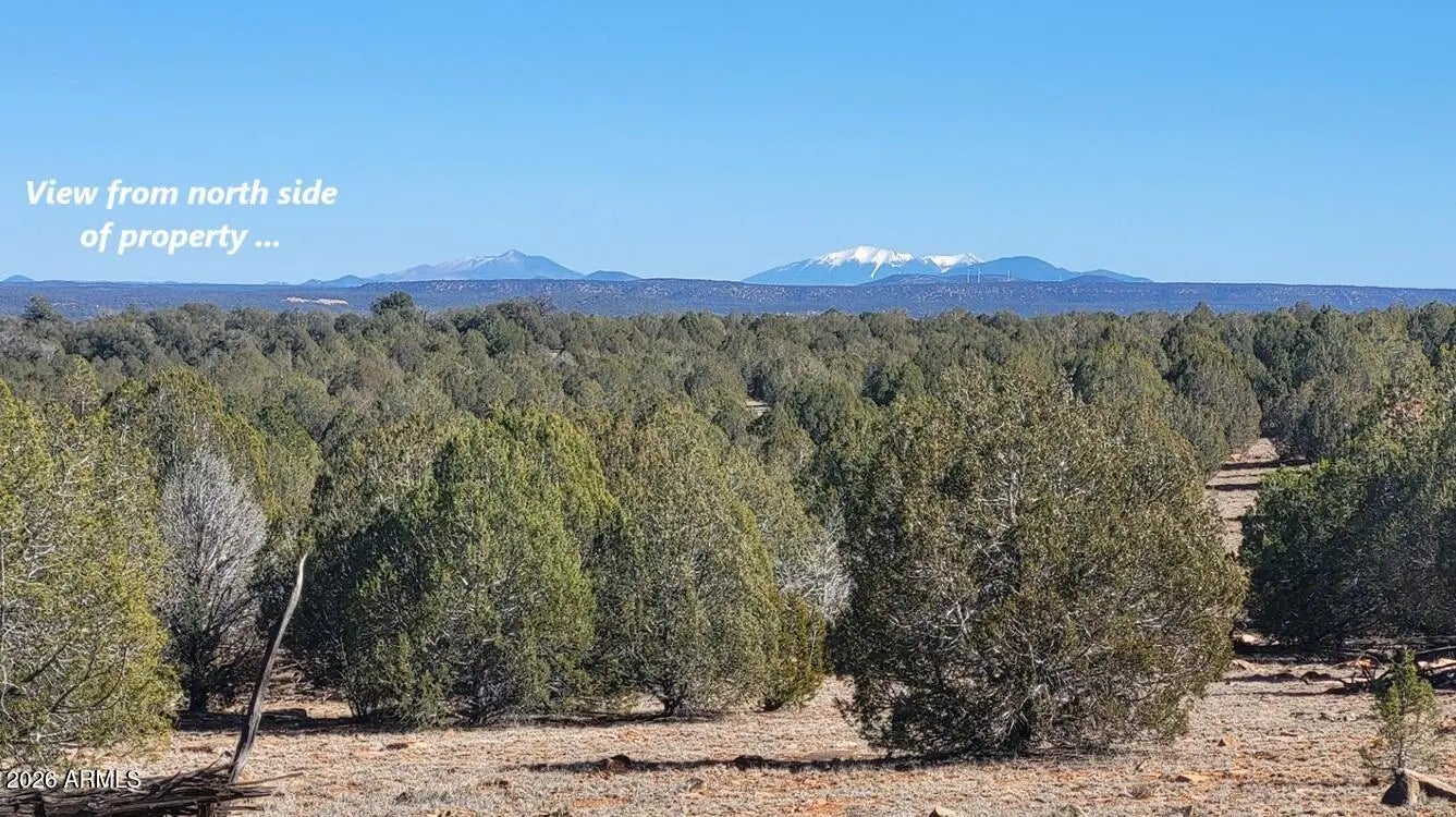 Photo of Listing #6980814