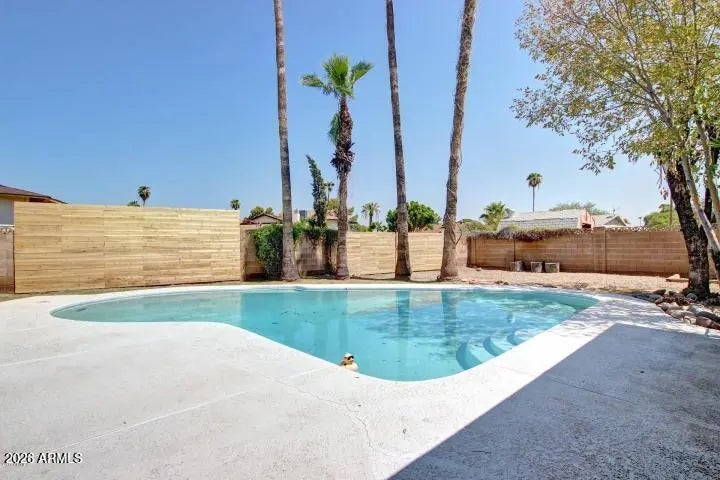 Photo of Listing #6981061