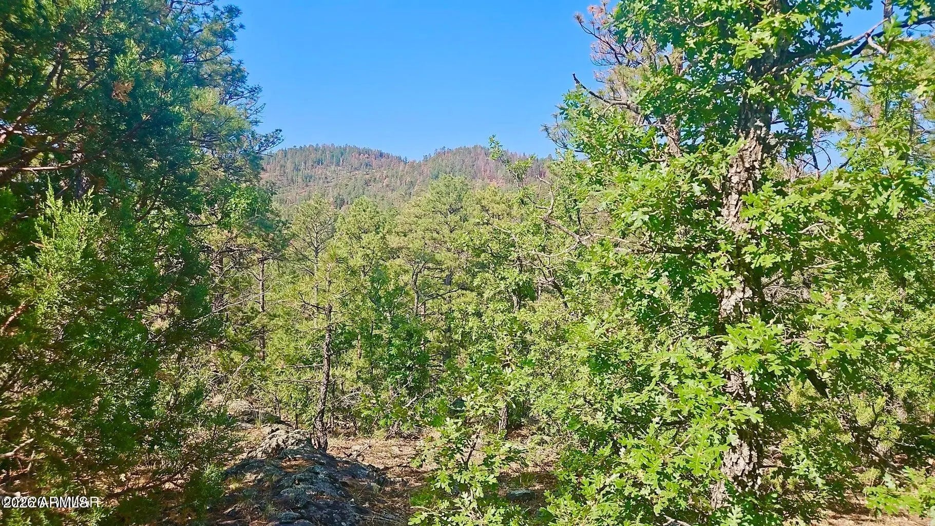 Photo of Listing #6981490