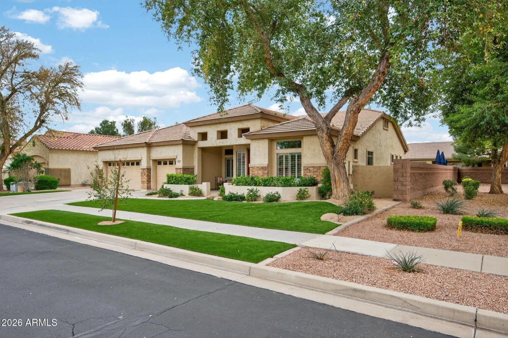373 W Macaw Drive, Chandler