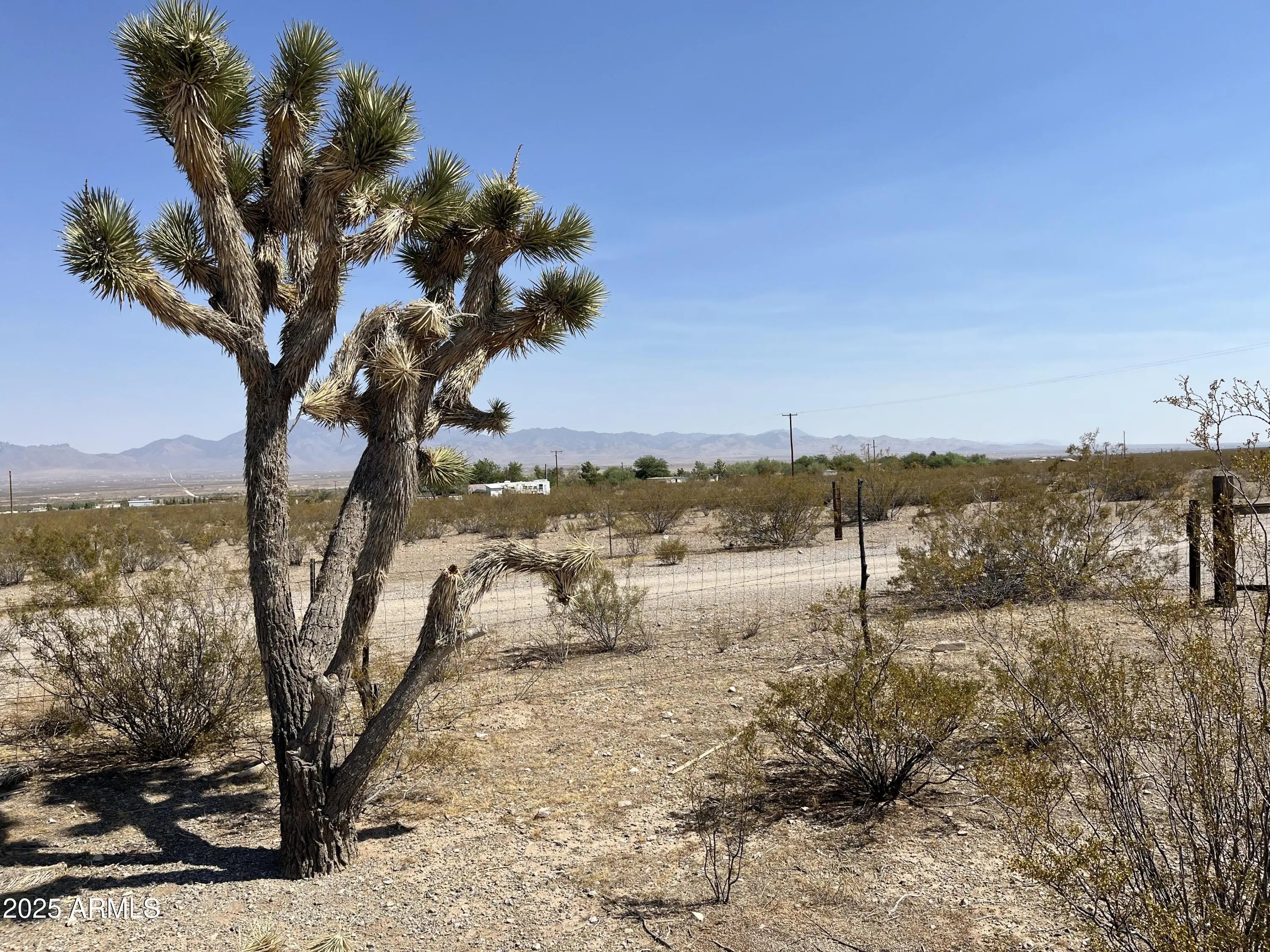 Photo of Listing #6982063