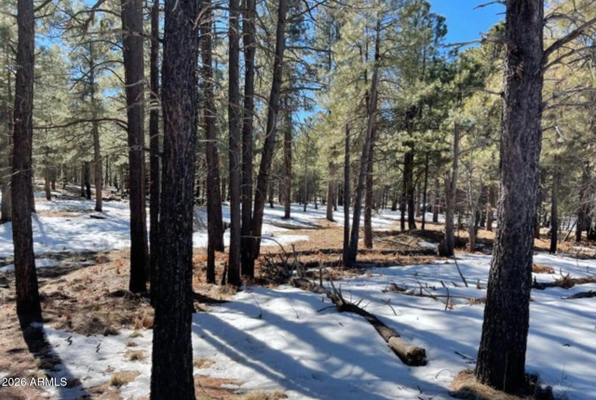 Photo of Listing #6985364