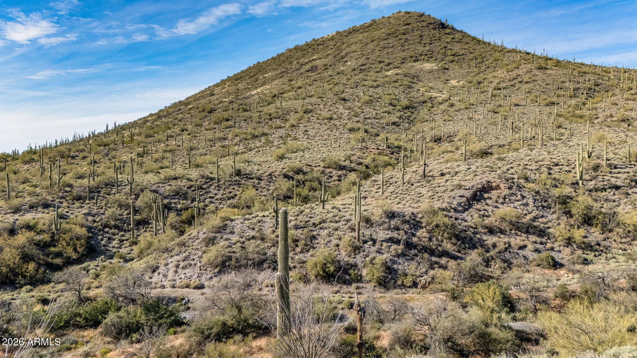 Photo of Listing #6988866