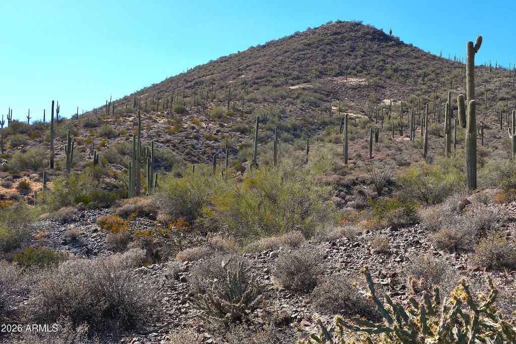 7xxx N 80th Street (unit '-'), Cave Creek