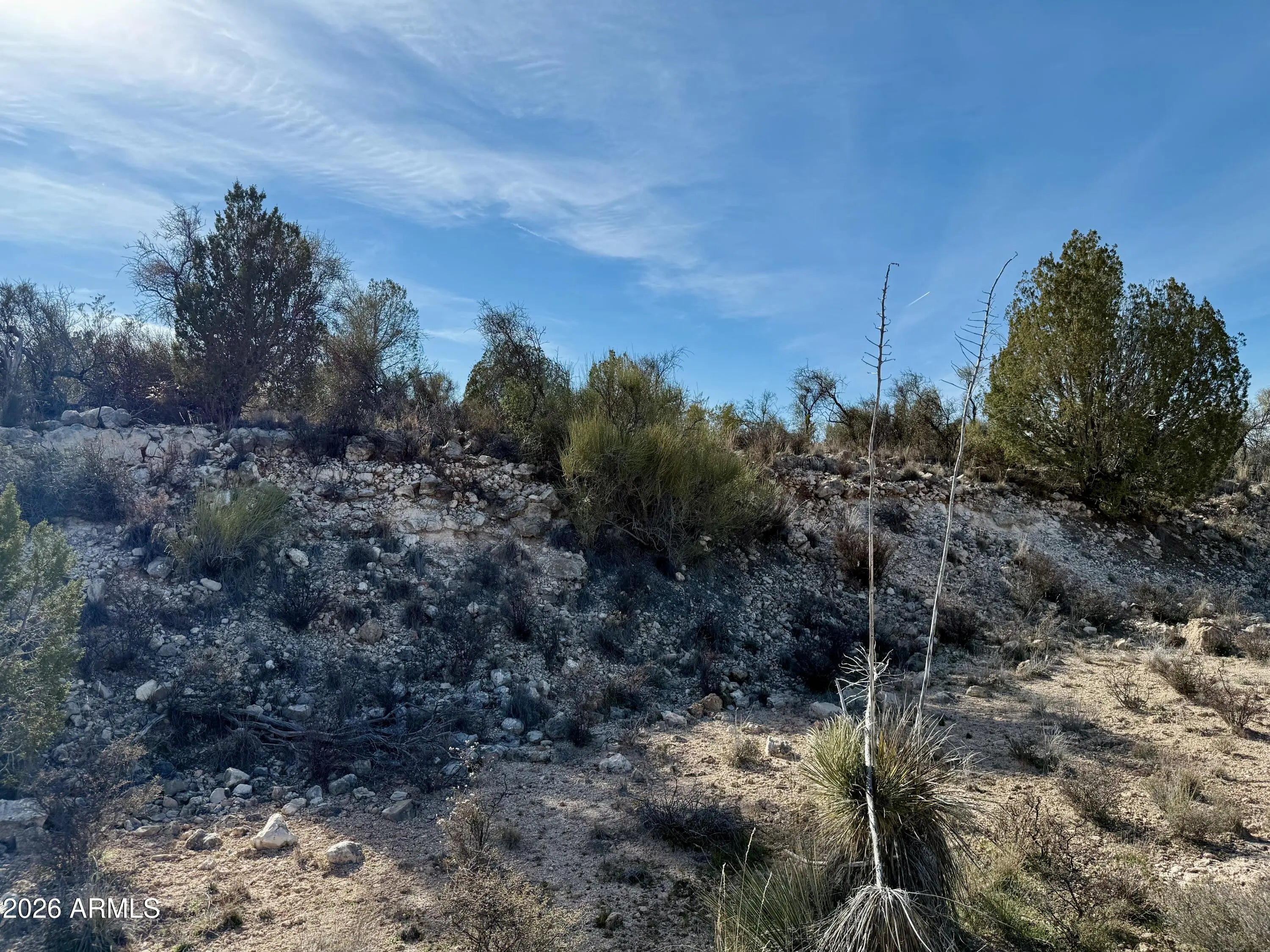 Photo of Listing #6990317