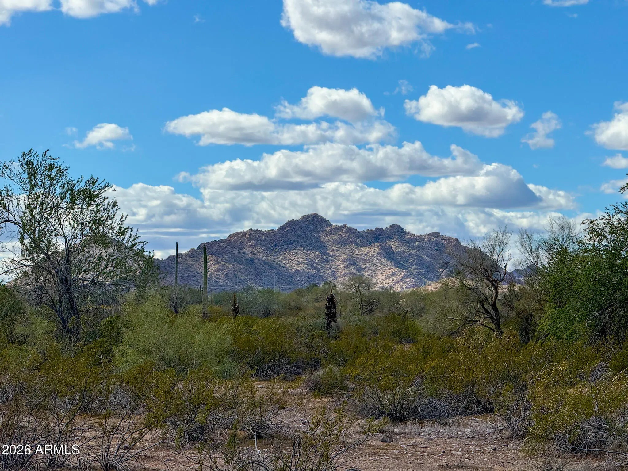 Photo of Listing #6989514