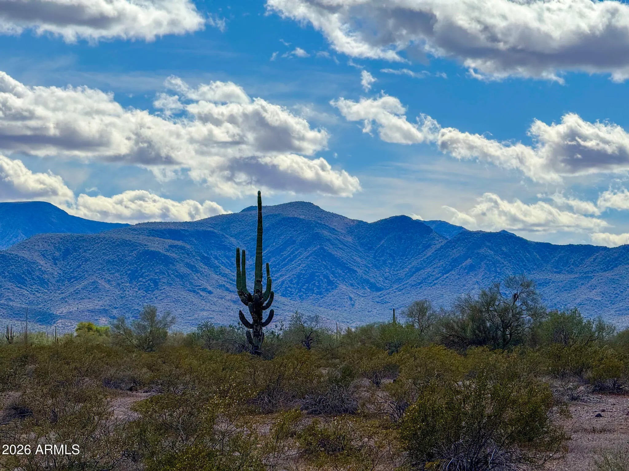 Photo of Listing #6989610