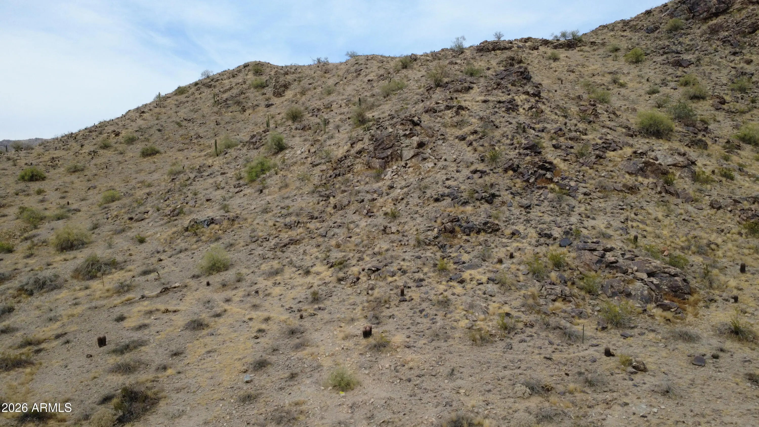 Photo of Listing #6992274