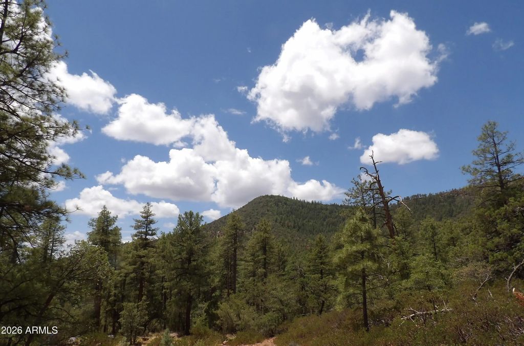 018e &014u Pine Hollow Trail (unit 018e & 014u), Pine