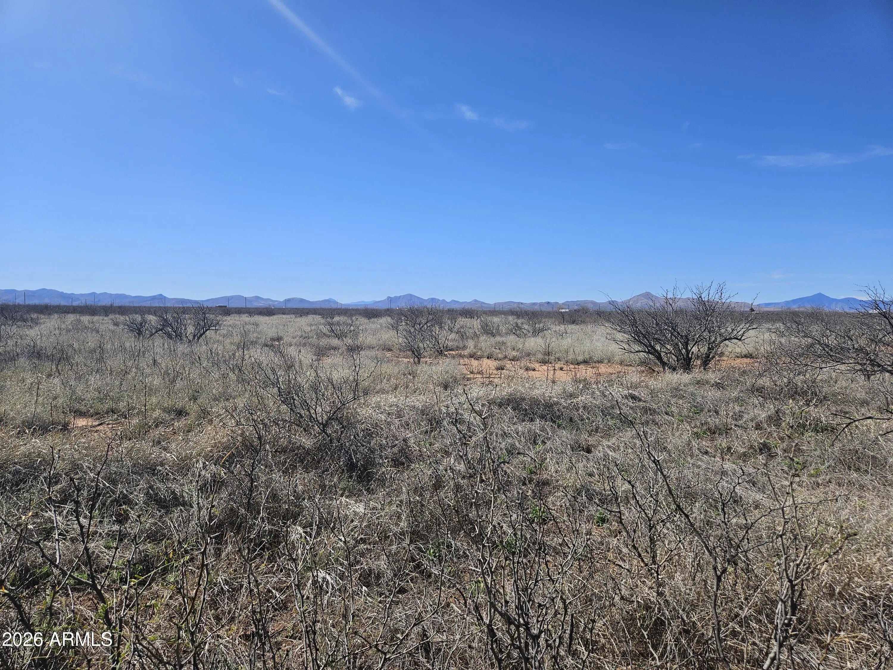 Photo of Listing #6993179