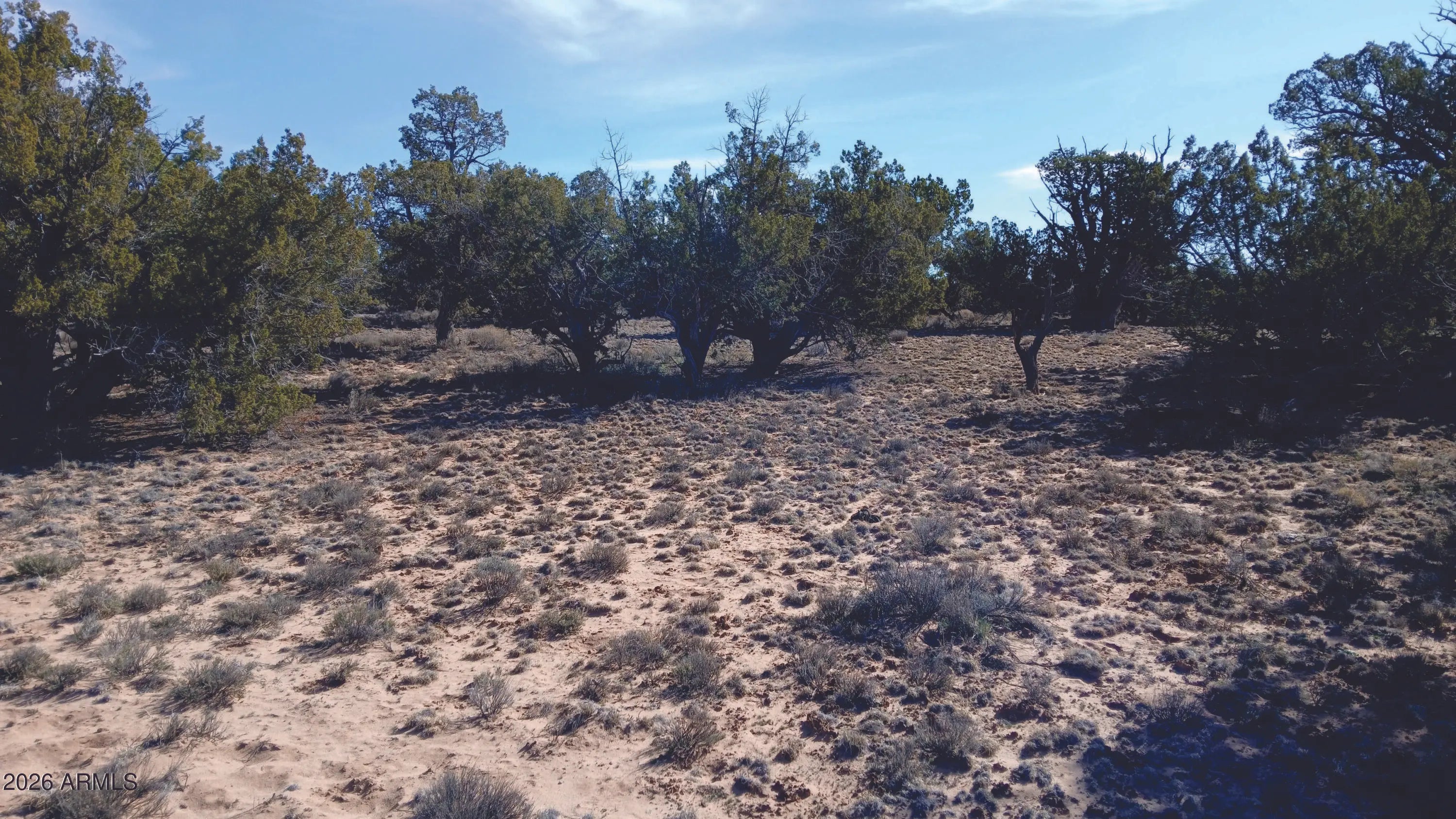 Photo of Listing #6996277