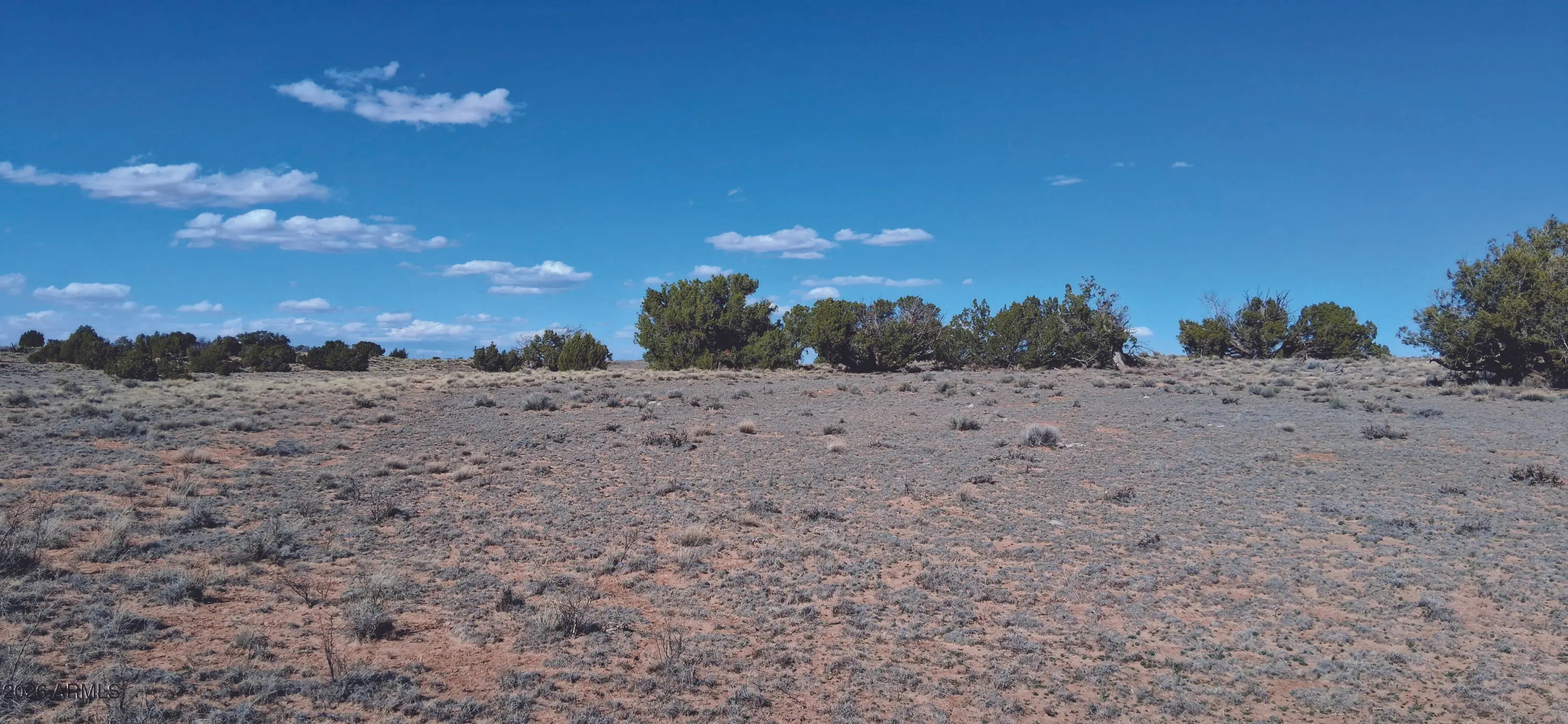 Photo of Listing #6996329