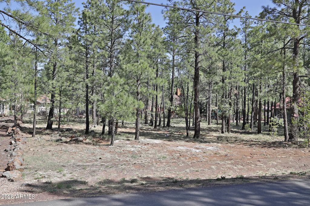 7466 Buck Springs Road (unit 175), Pinetop