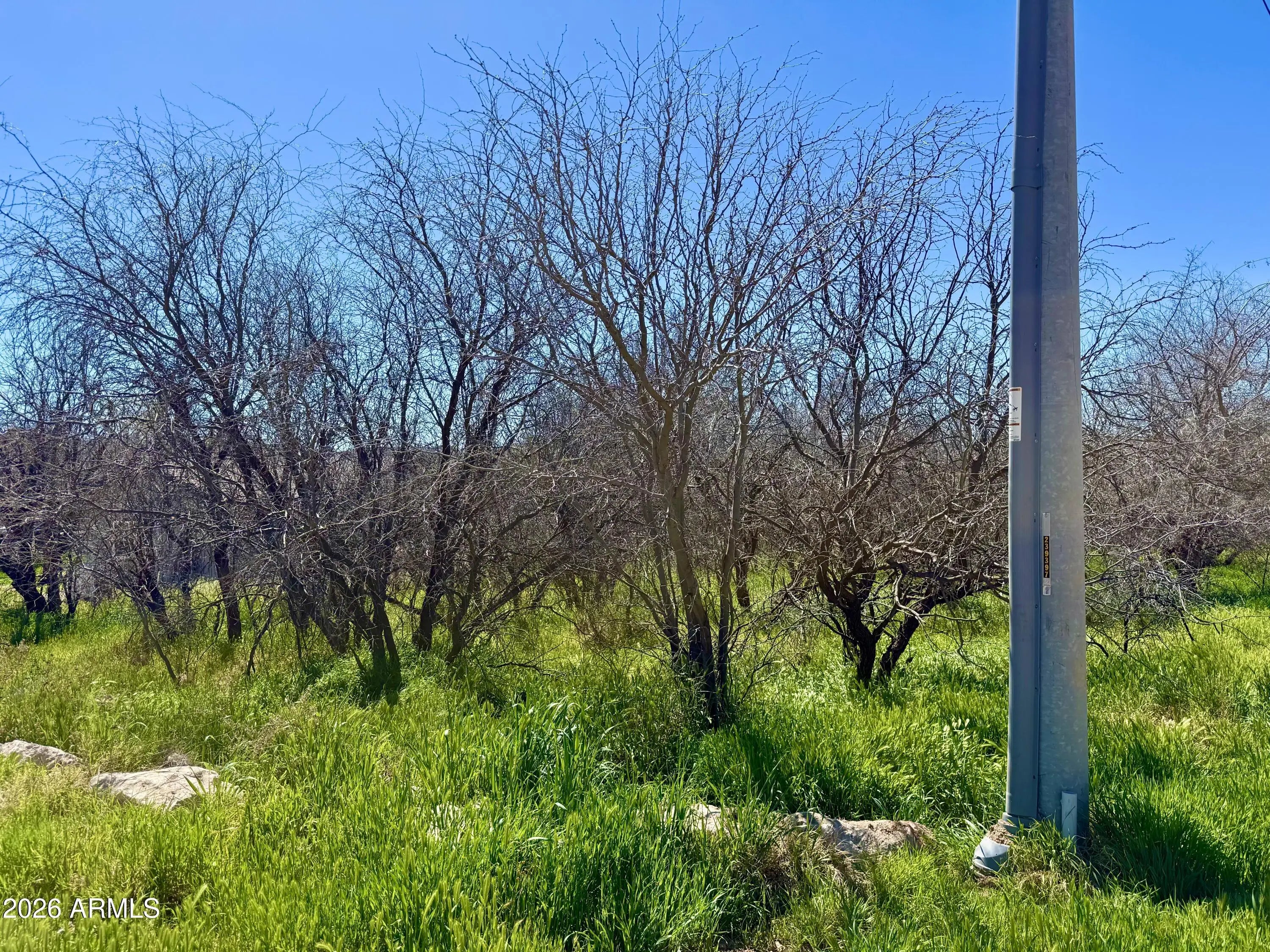 Photo of Listing #7005000