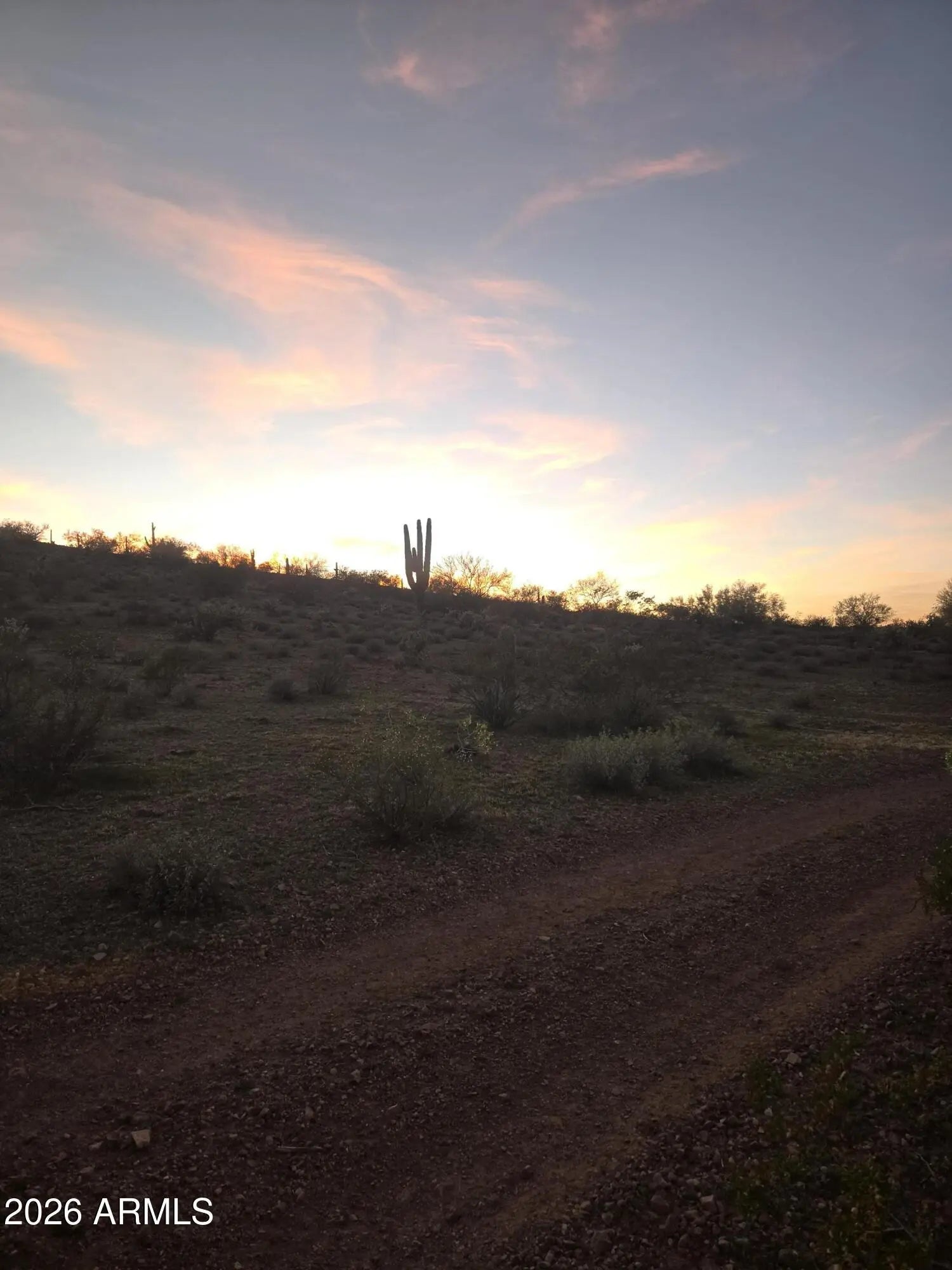 Photo of Listing #7000214