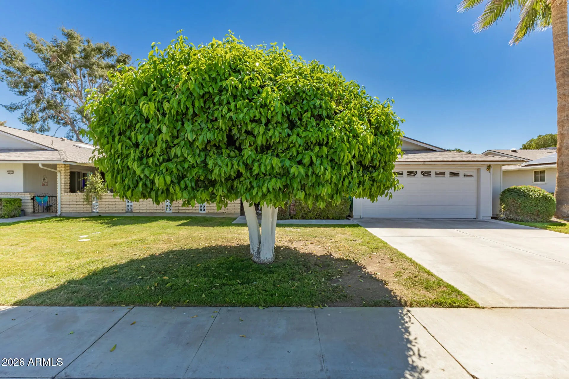 Photo of Listing #6998105