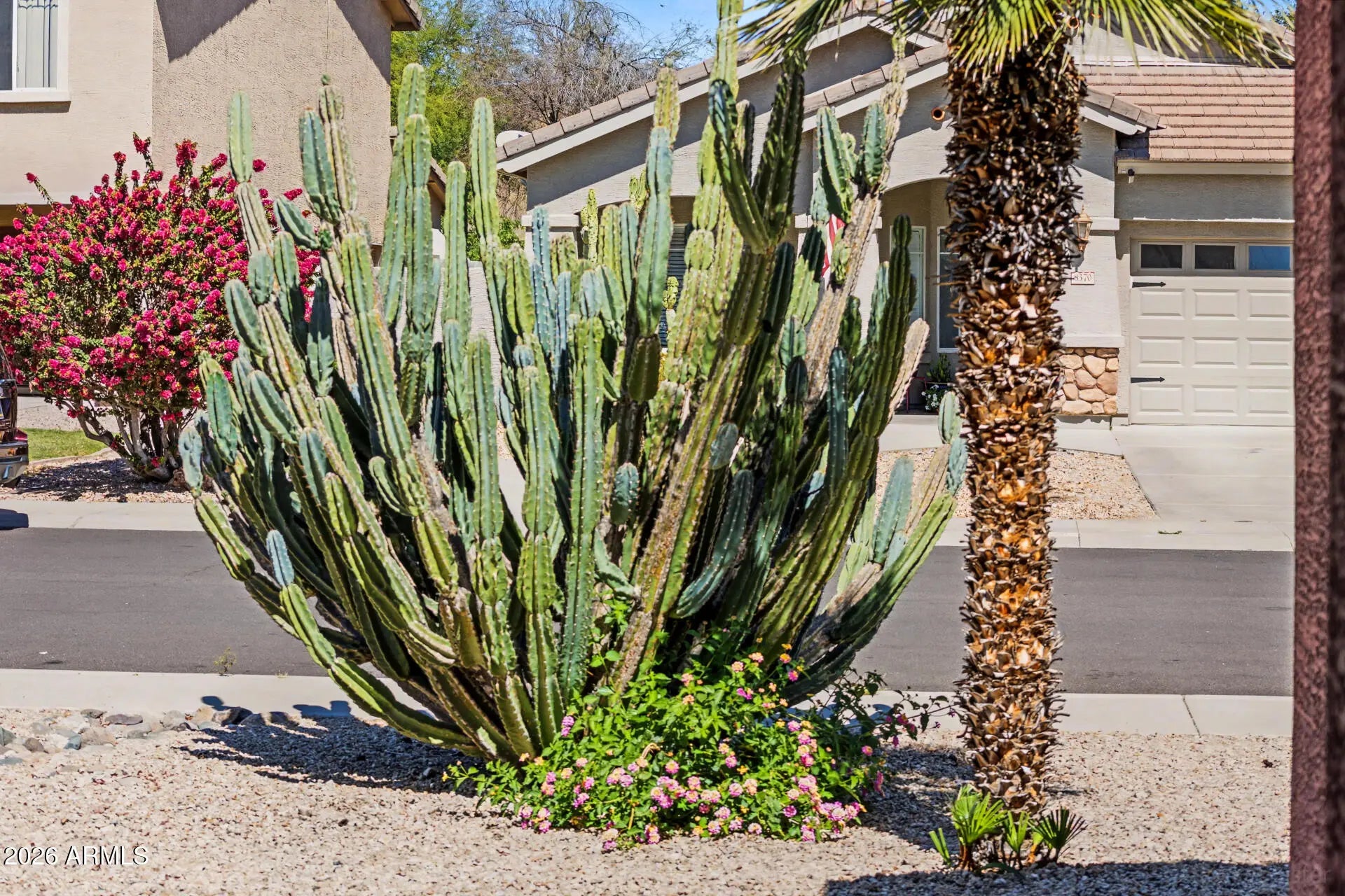 Photo of Listing #6998084