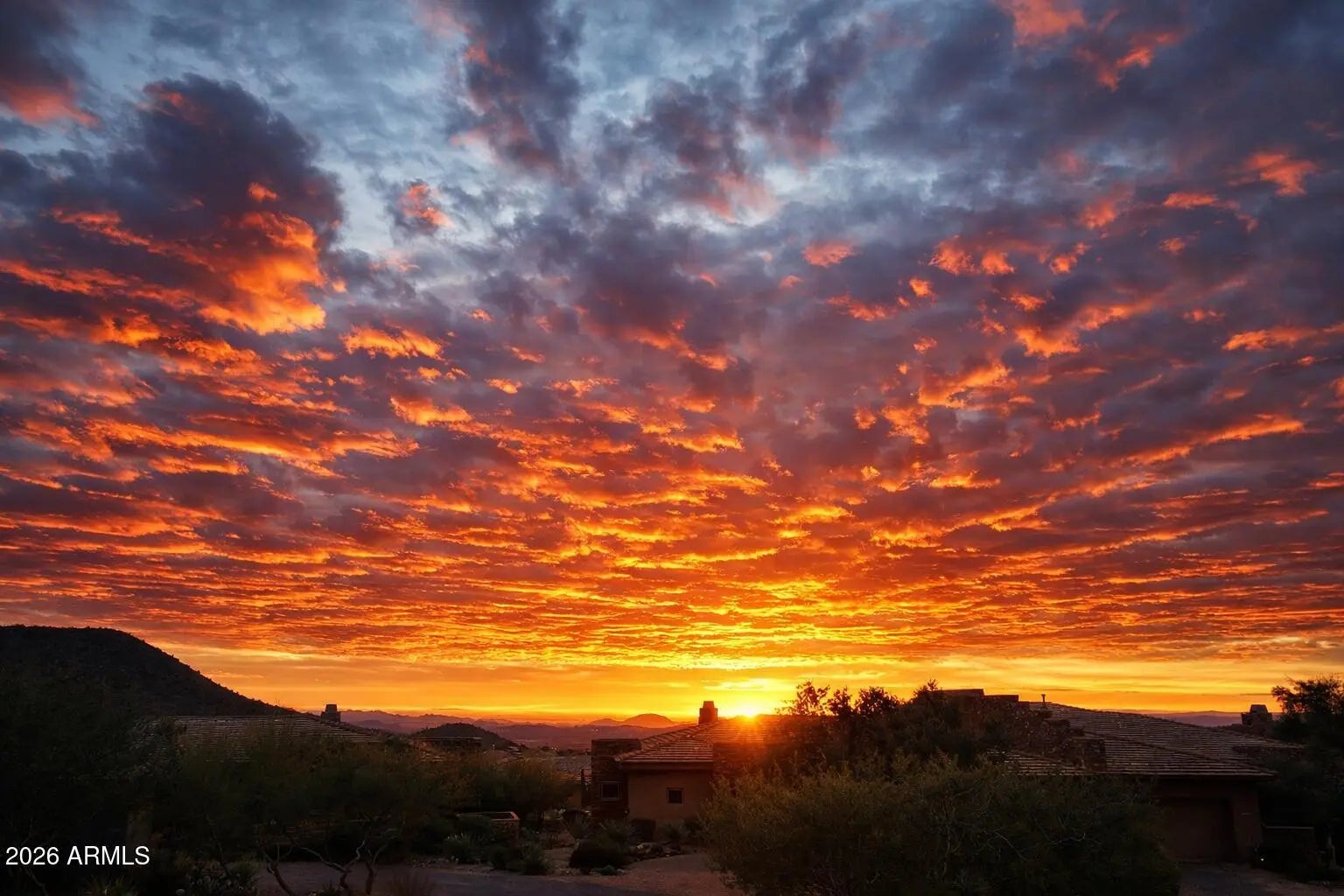 Photo of Listing #6998374