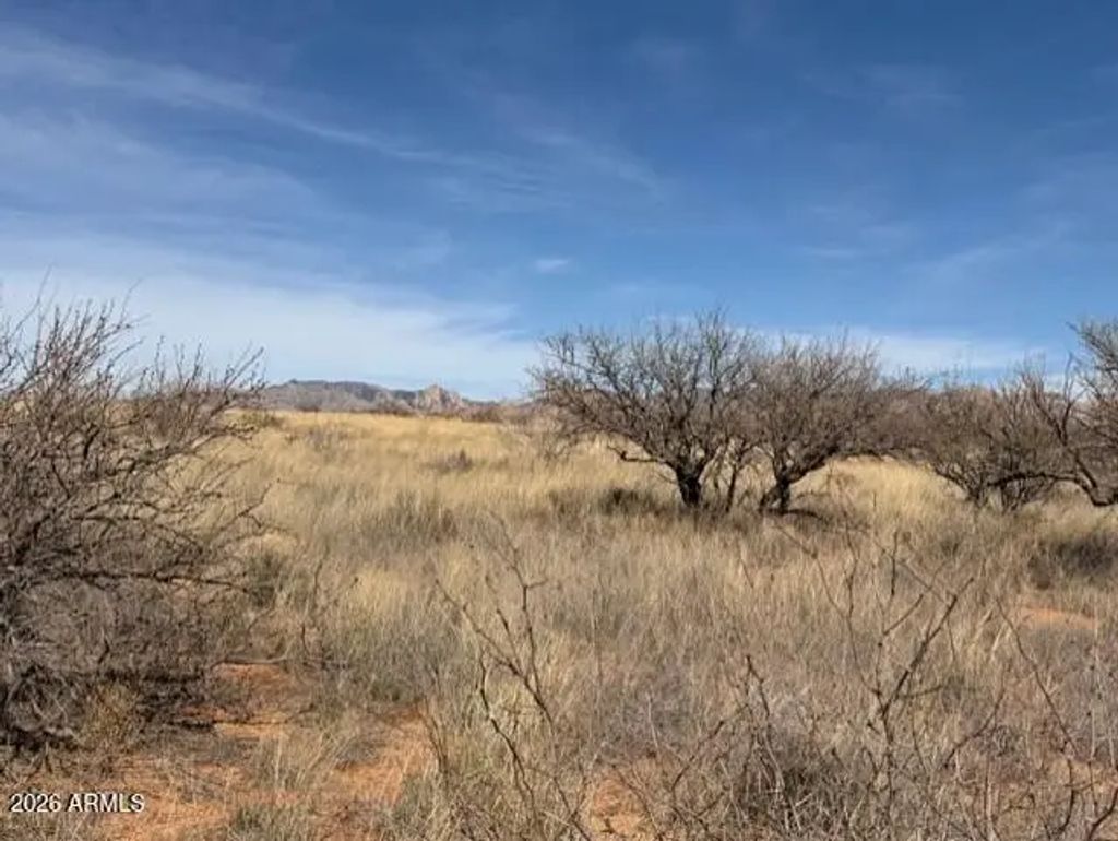 Tbd S Cochise Trail (unit 94), Saint David