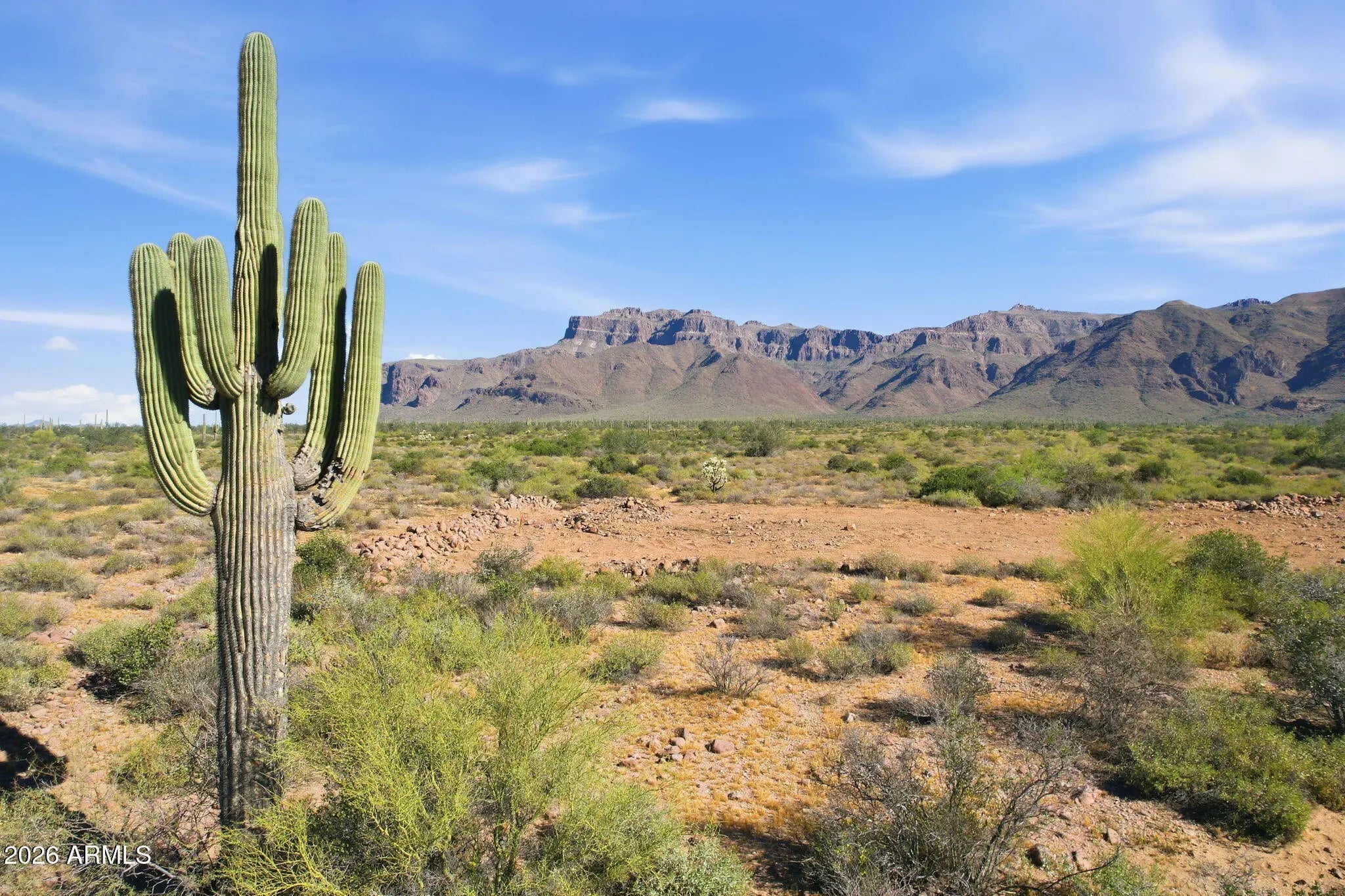 Photo of Listing #6998904