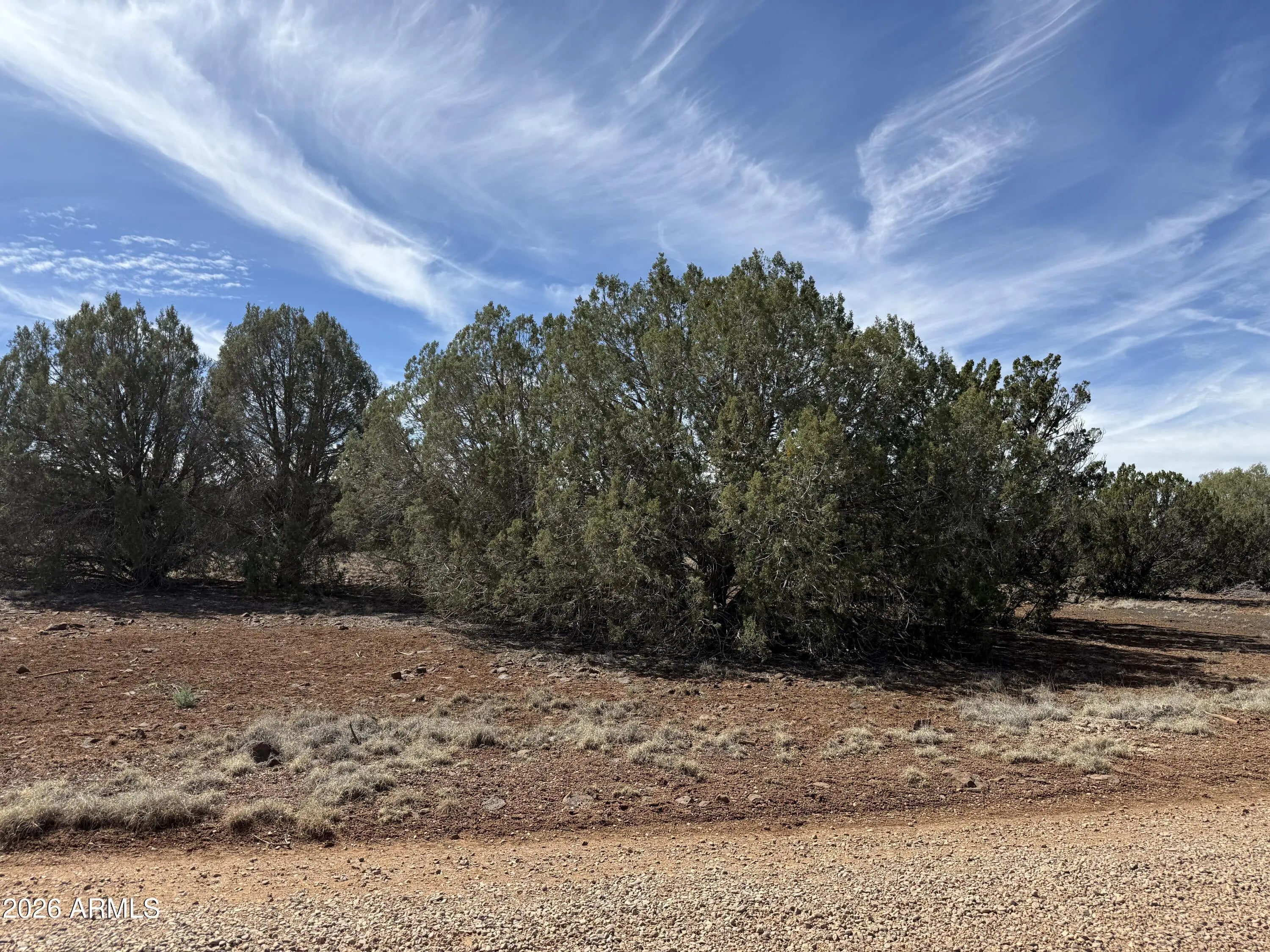 Photo of Listing #7001594