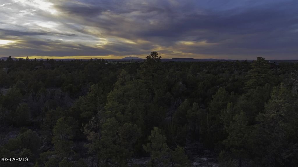 3633 Sunset Ridge Loop (unit 166), Happy Jack