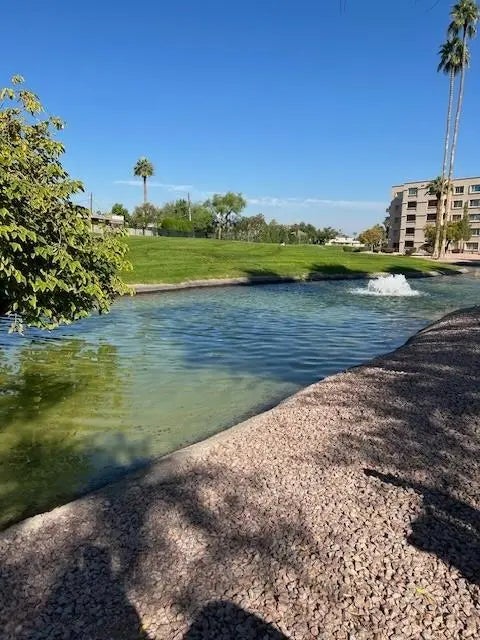 Photo of Listing #7003867