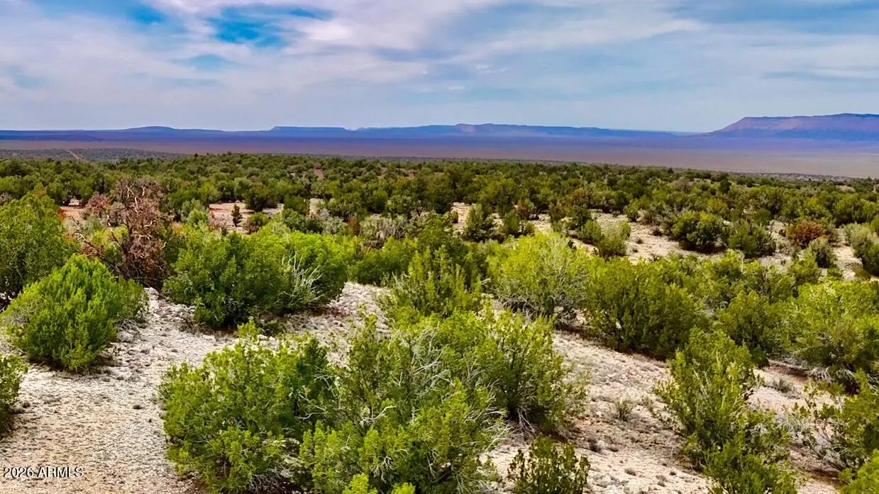 Photo of Listing #7007631