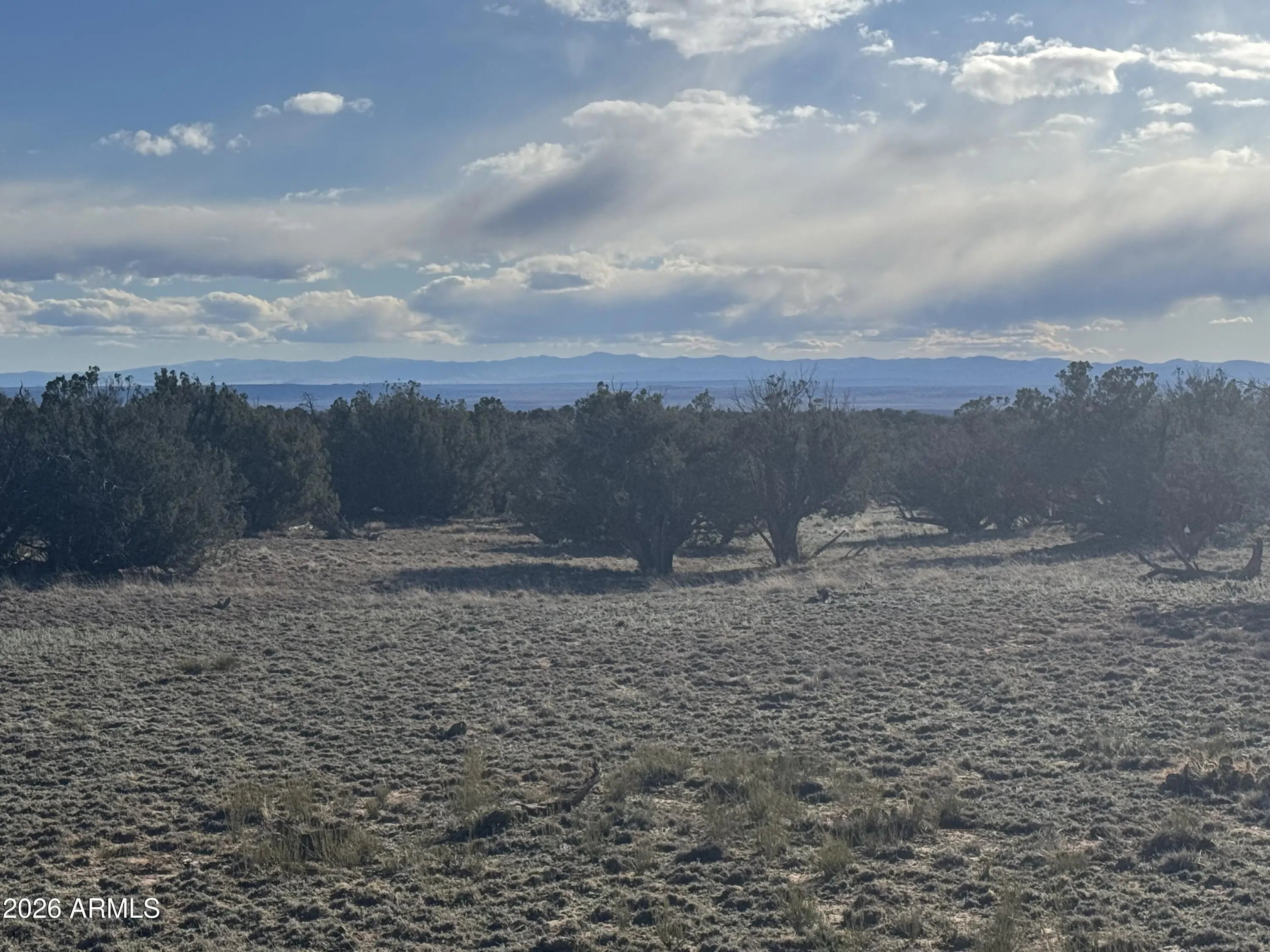 Photo of Listing #7009289