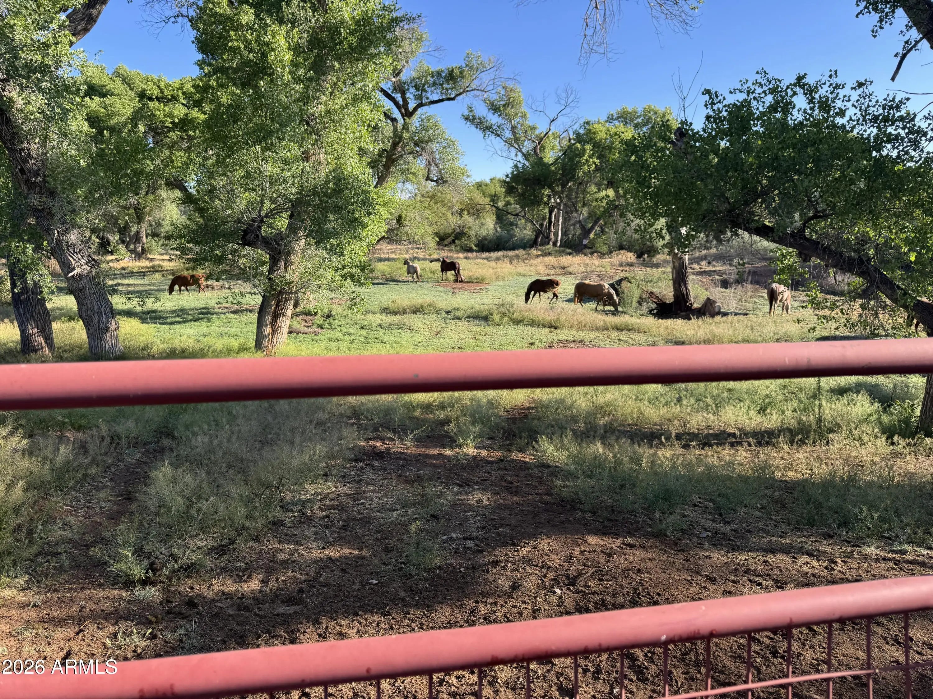 Photo of Listing #7012196