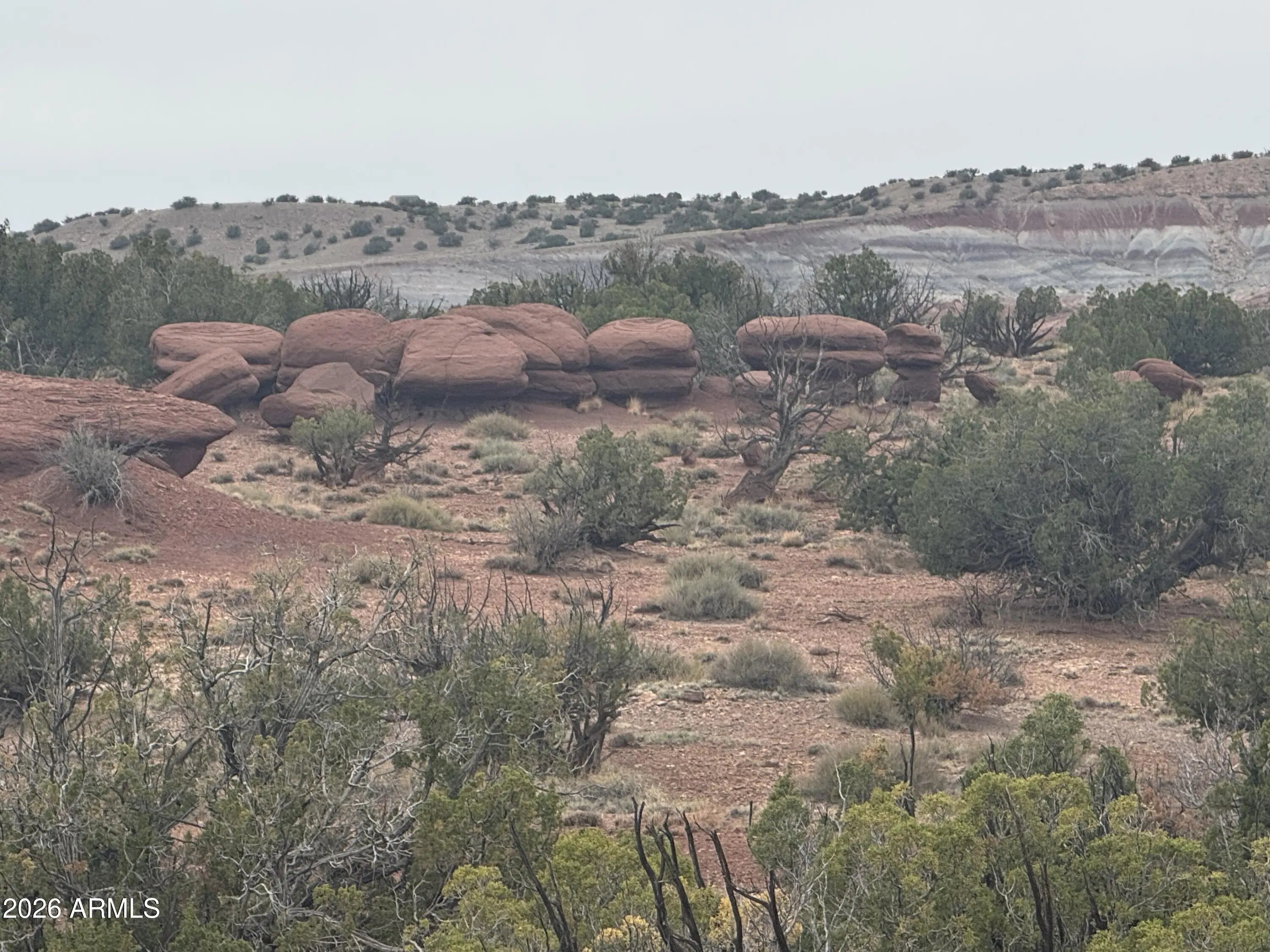 Photo of Listing #7010243